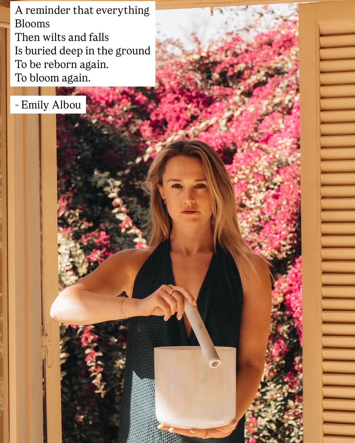 Happy Equinox, happy blooming 🌸🤍✨