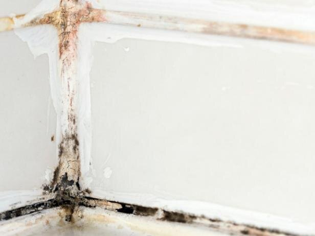 How to Remove Black Mold