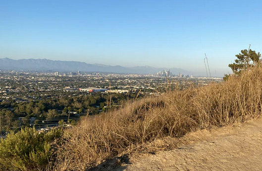 Culver City Stairs
