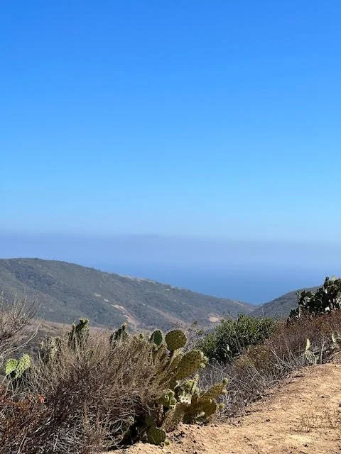 Pacific Cove Trail