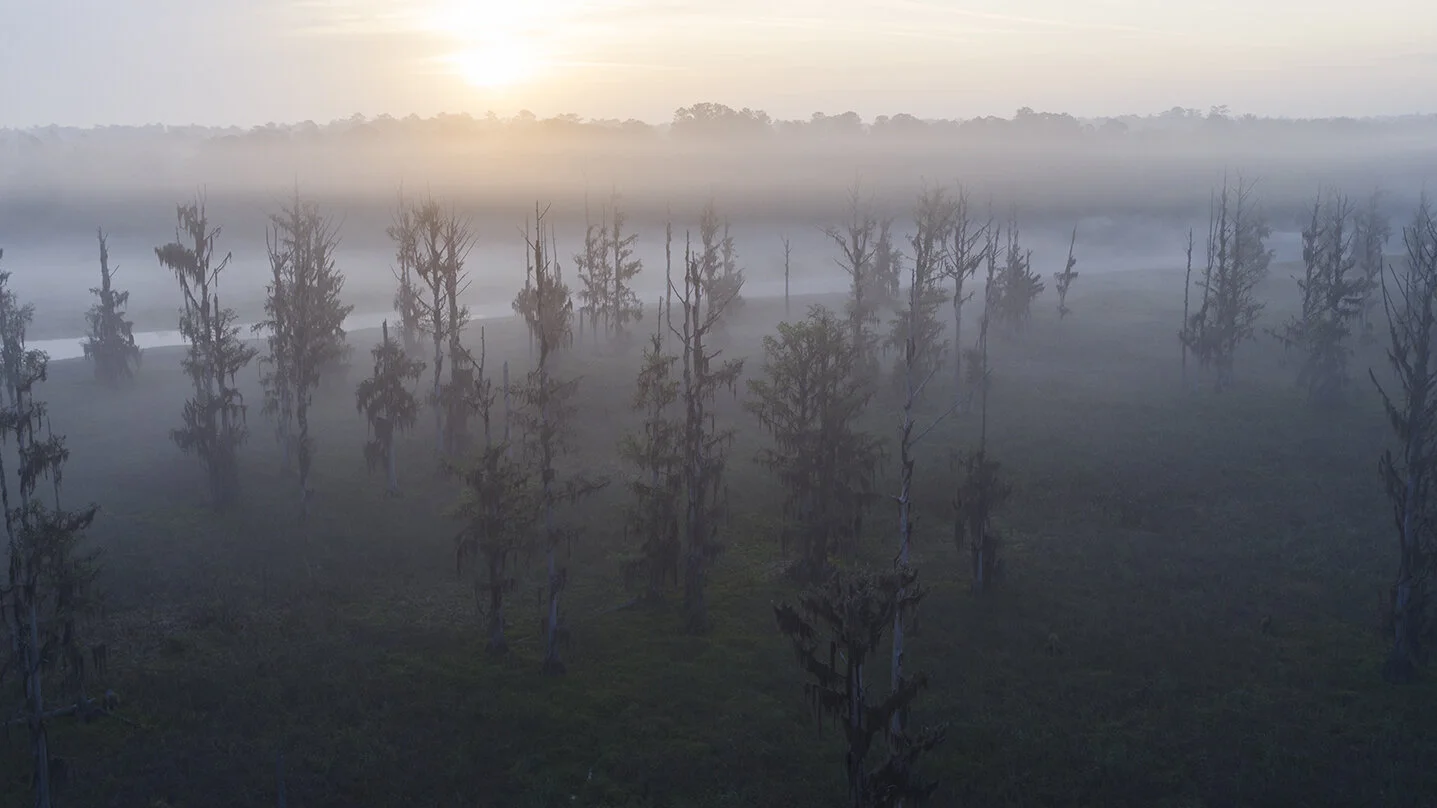 Florida_drone_DJI_0003sm.jpg