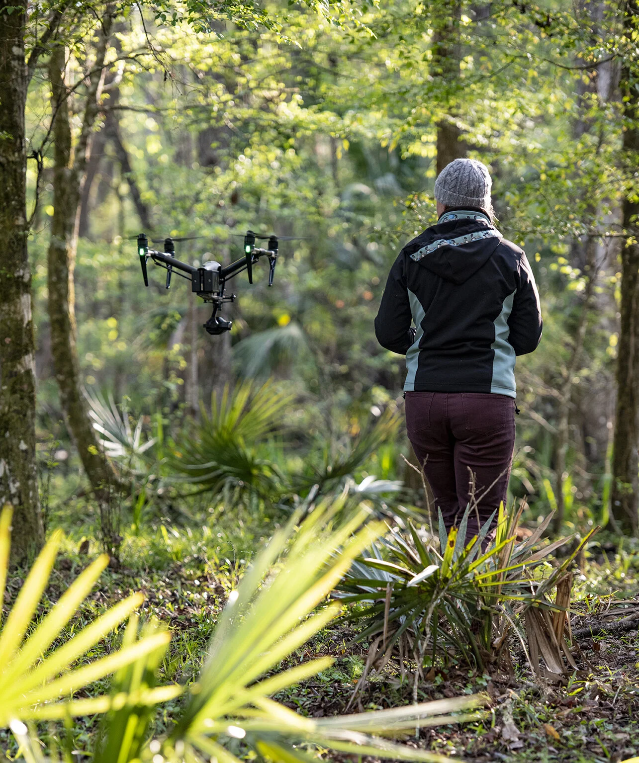 Florida_DJI_Sara_Drake_Ranch_MRE5979_sm.jpg