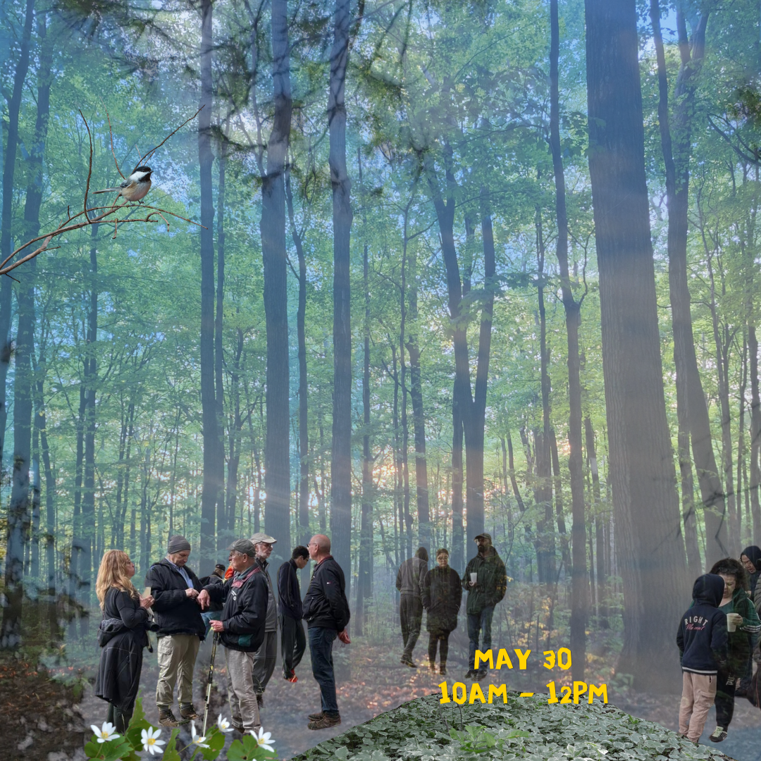 May Forest Walk - Make A Difference Week Event