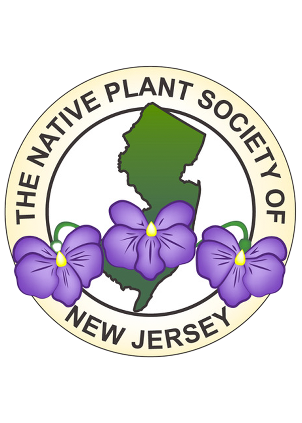 NPSNJ_logo_gradient_5w_padded_120ppi copy.png