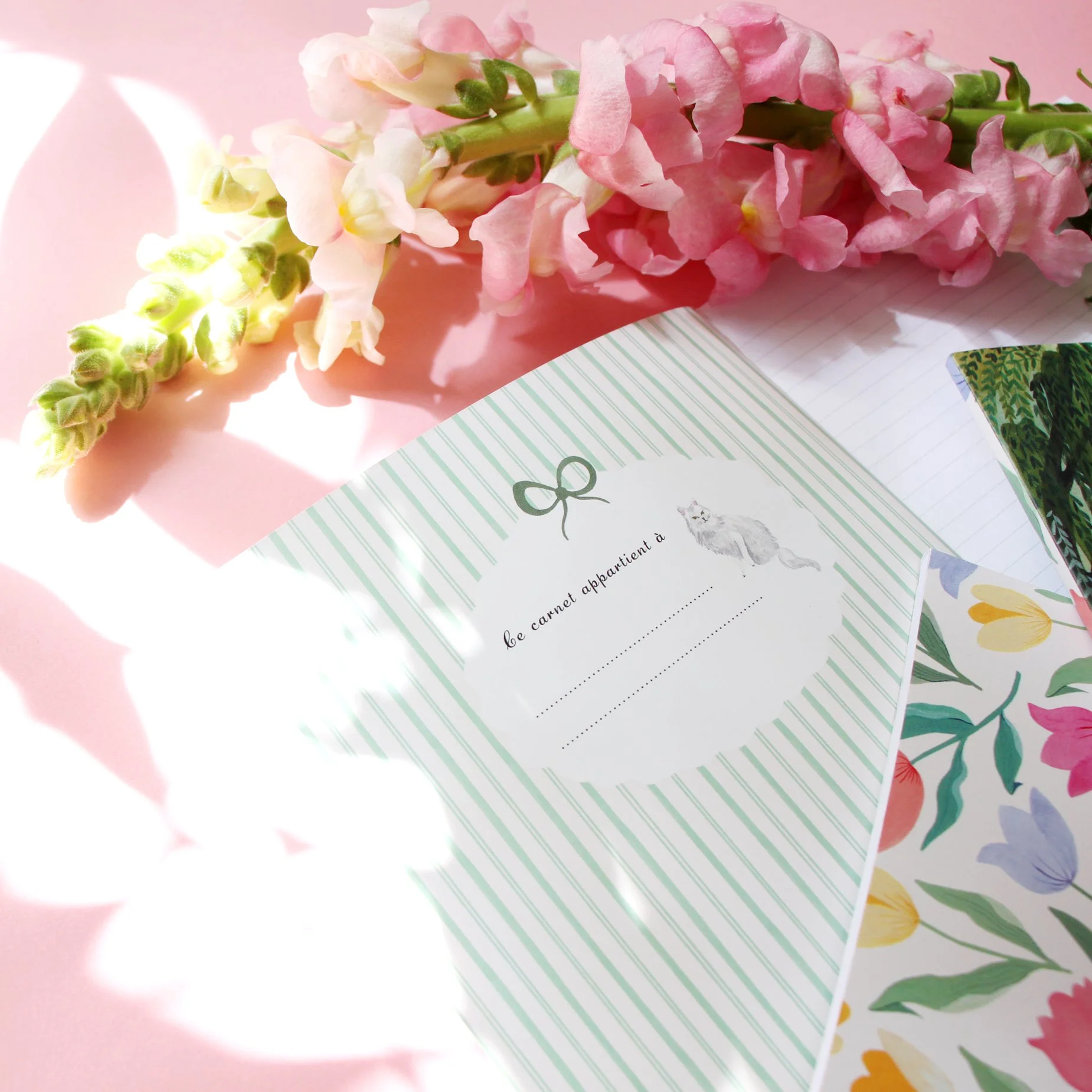 sonia cavallini carnet de notes 6.jpg