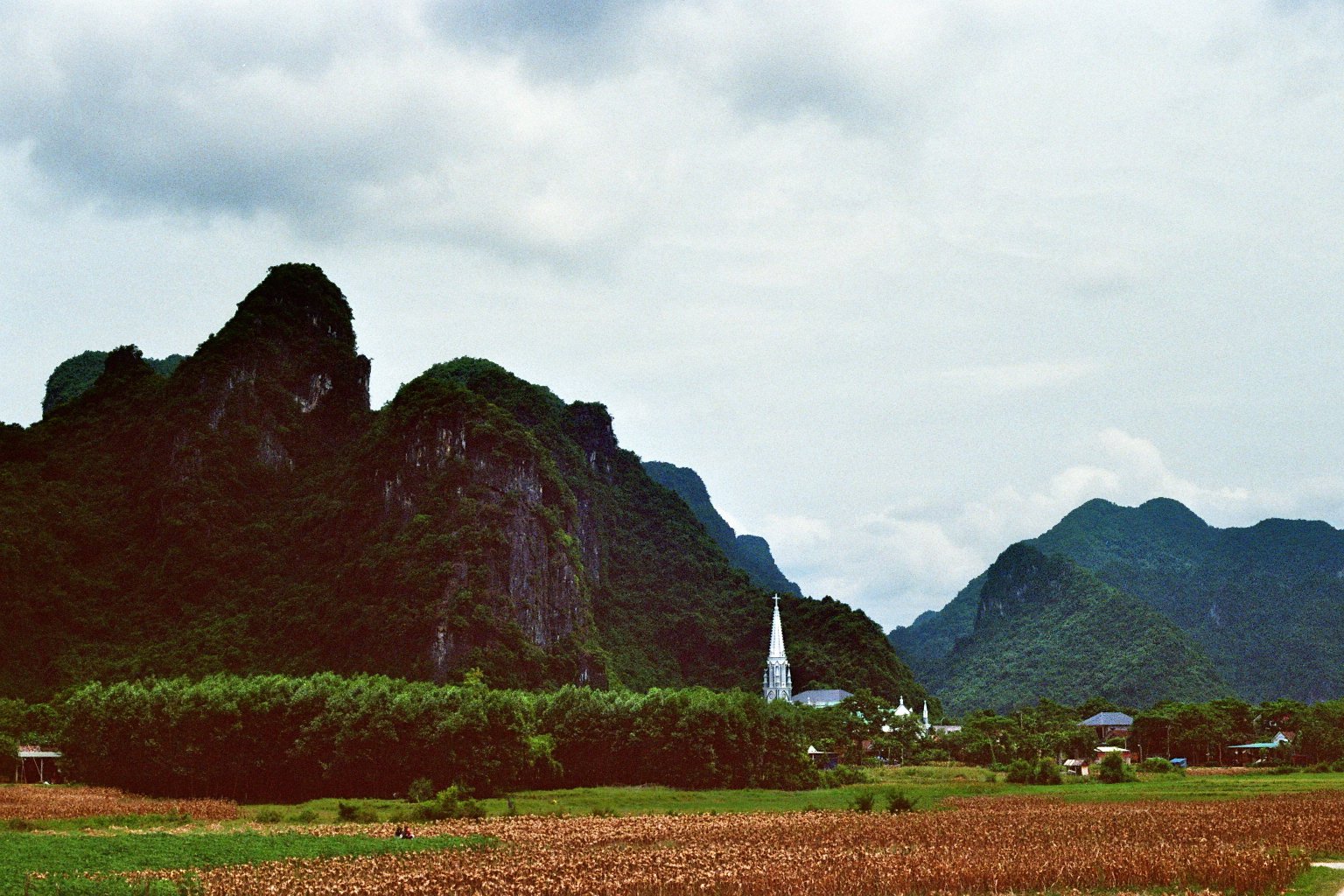 sonia cavallini illustration