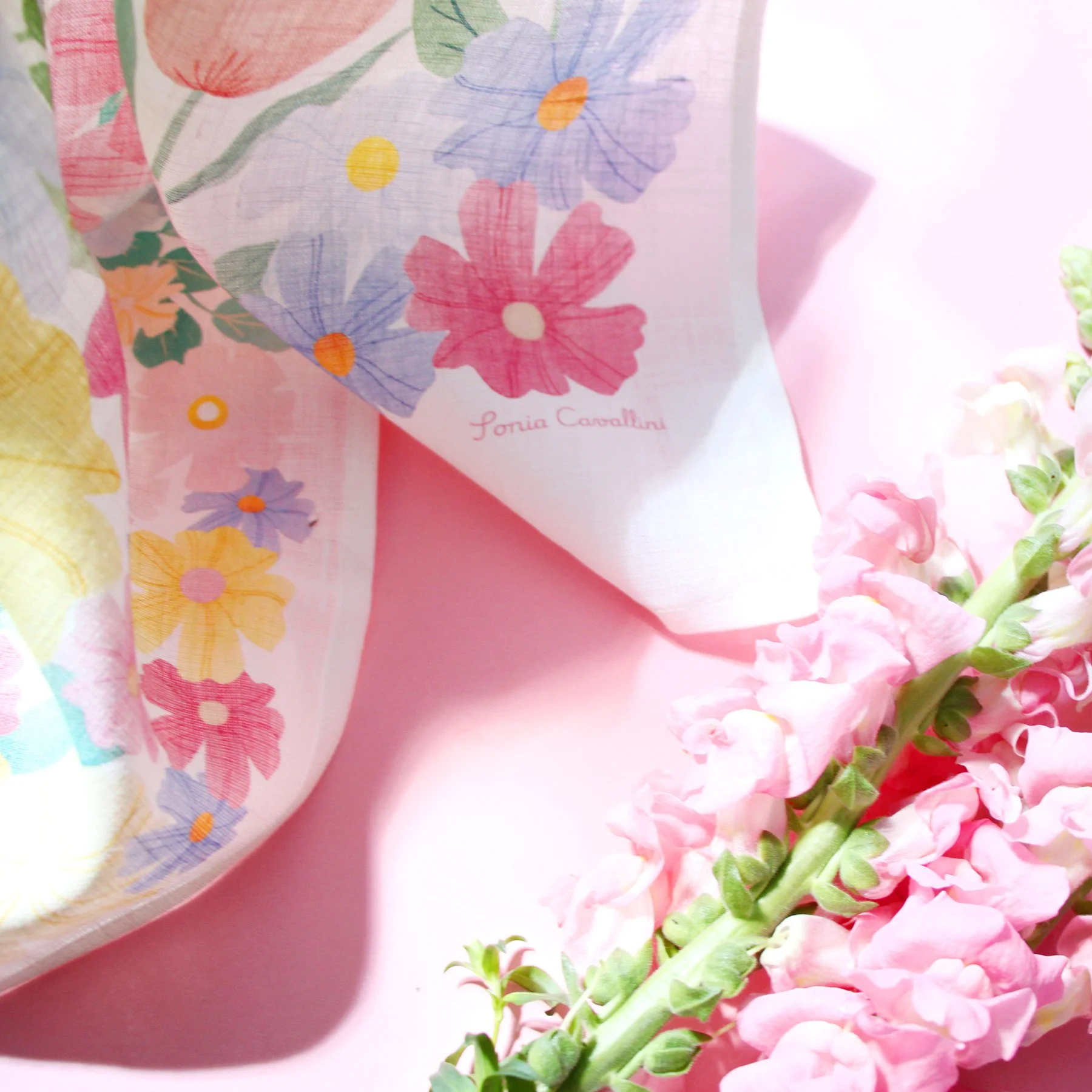 sonia cavallini torchon 3.jpg