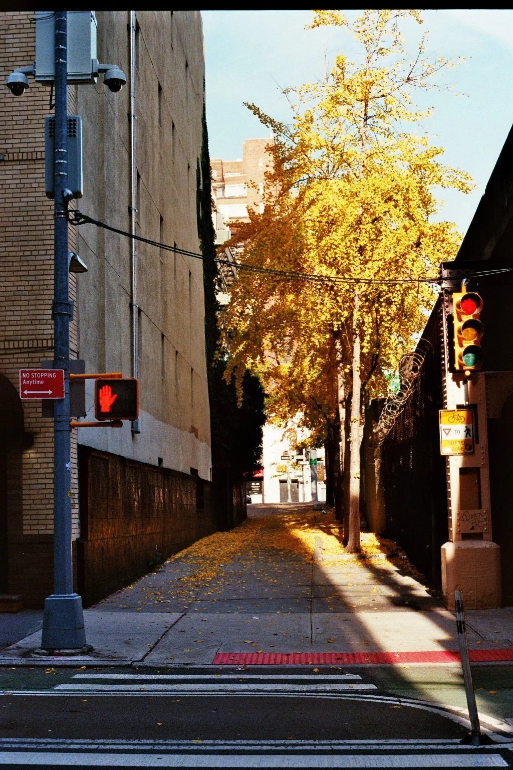 sonia cavallini 12.jpg