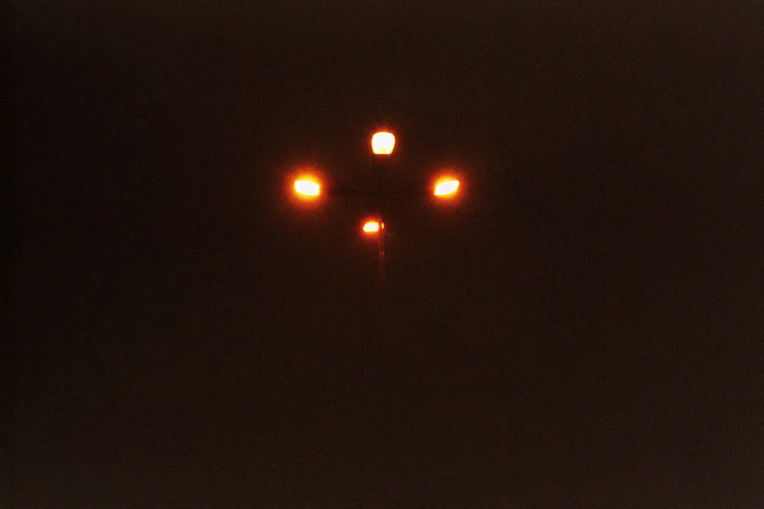 sonia cavallini illustration 