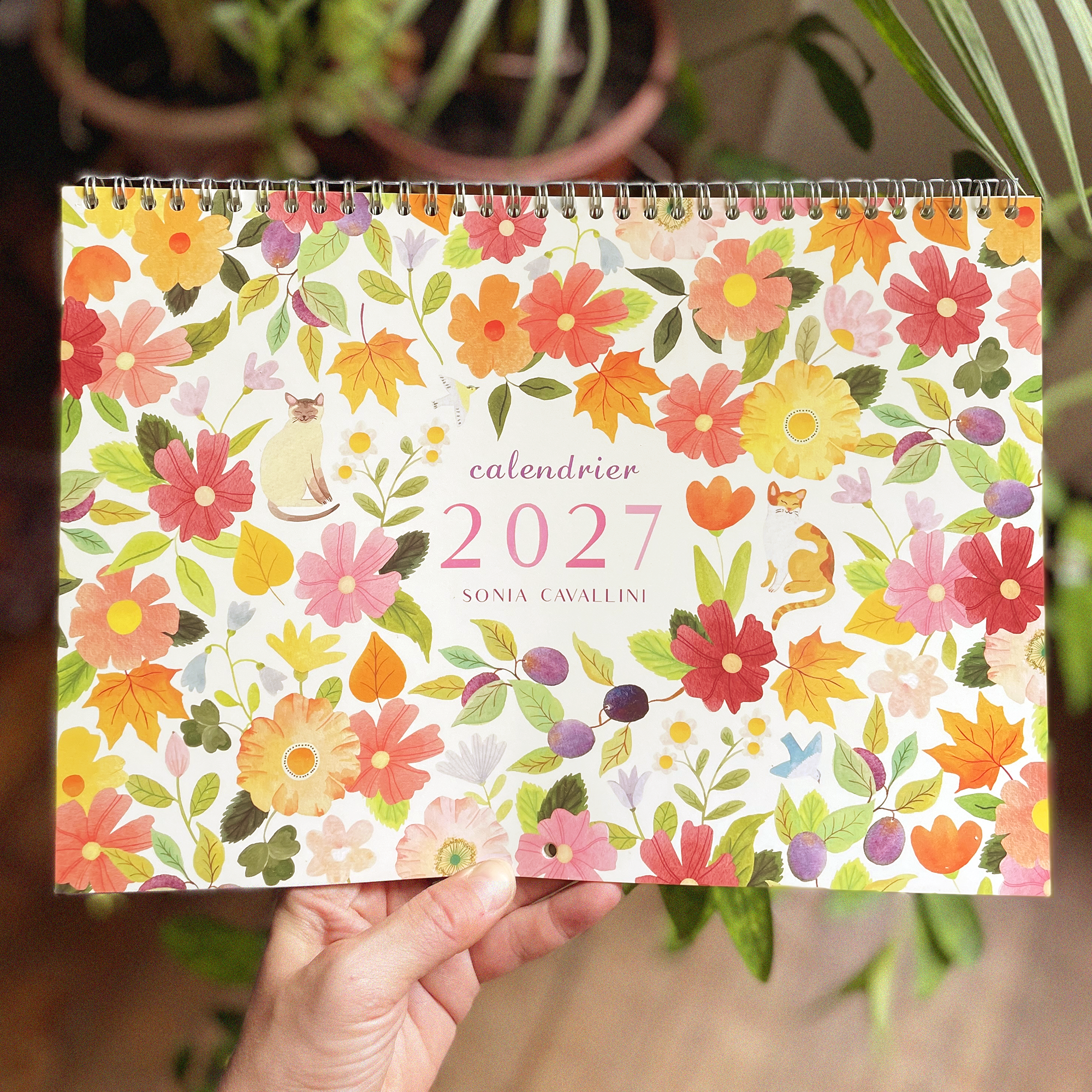 sonia cavallini calendrier 2.png