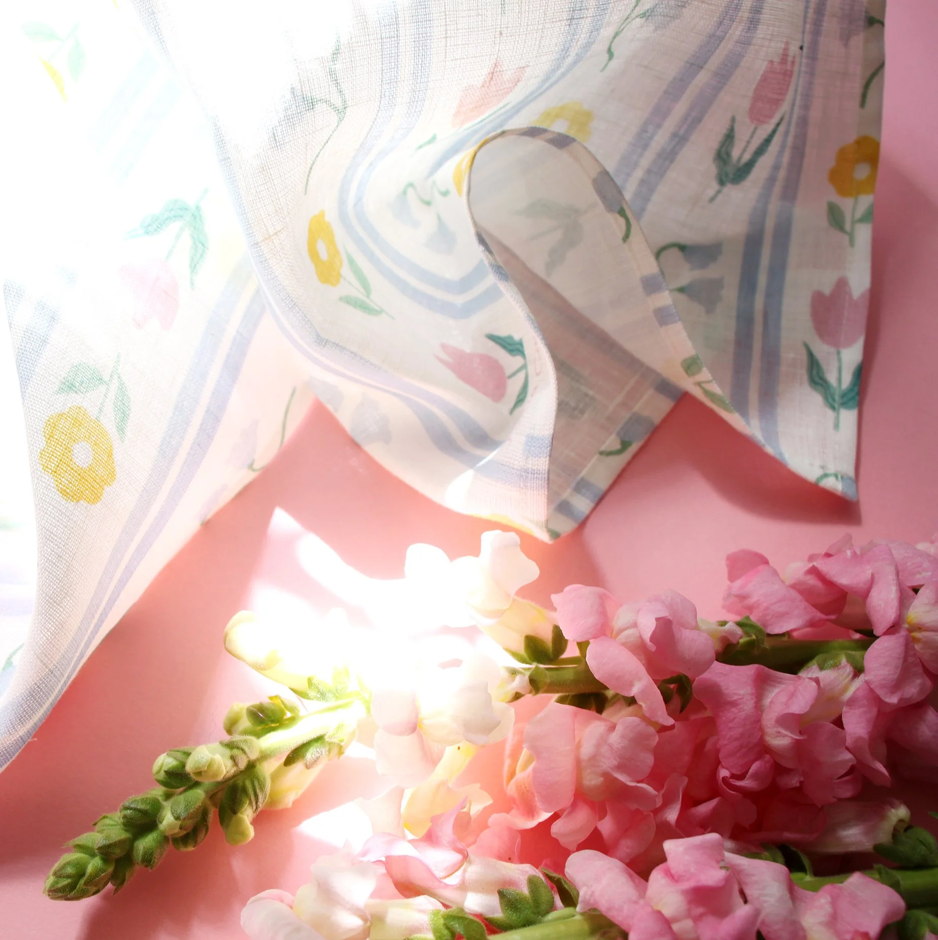 sonia cavallini torchon 2.jpg