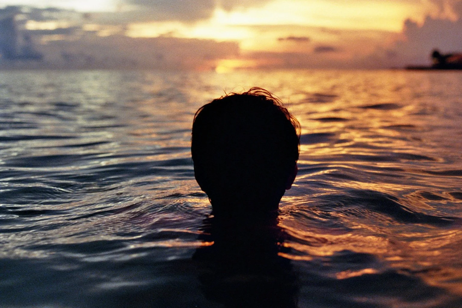 sonia cavallini illustration