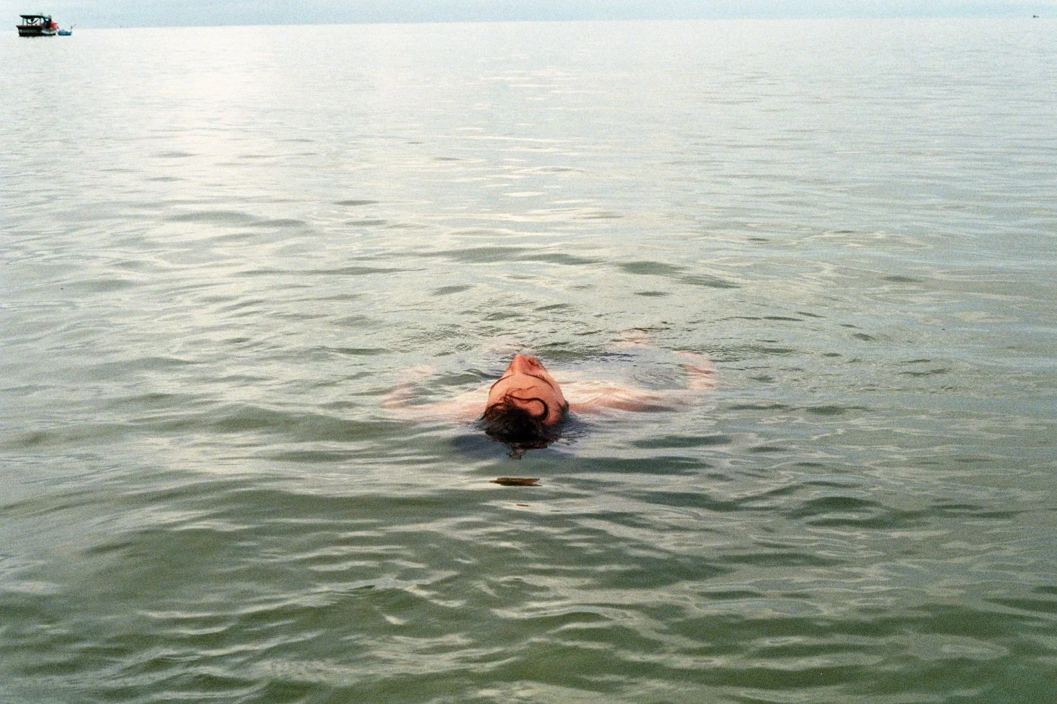 sonia cavallini illustration