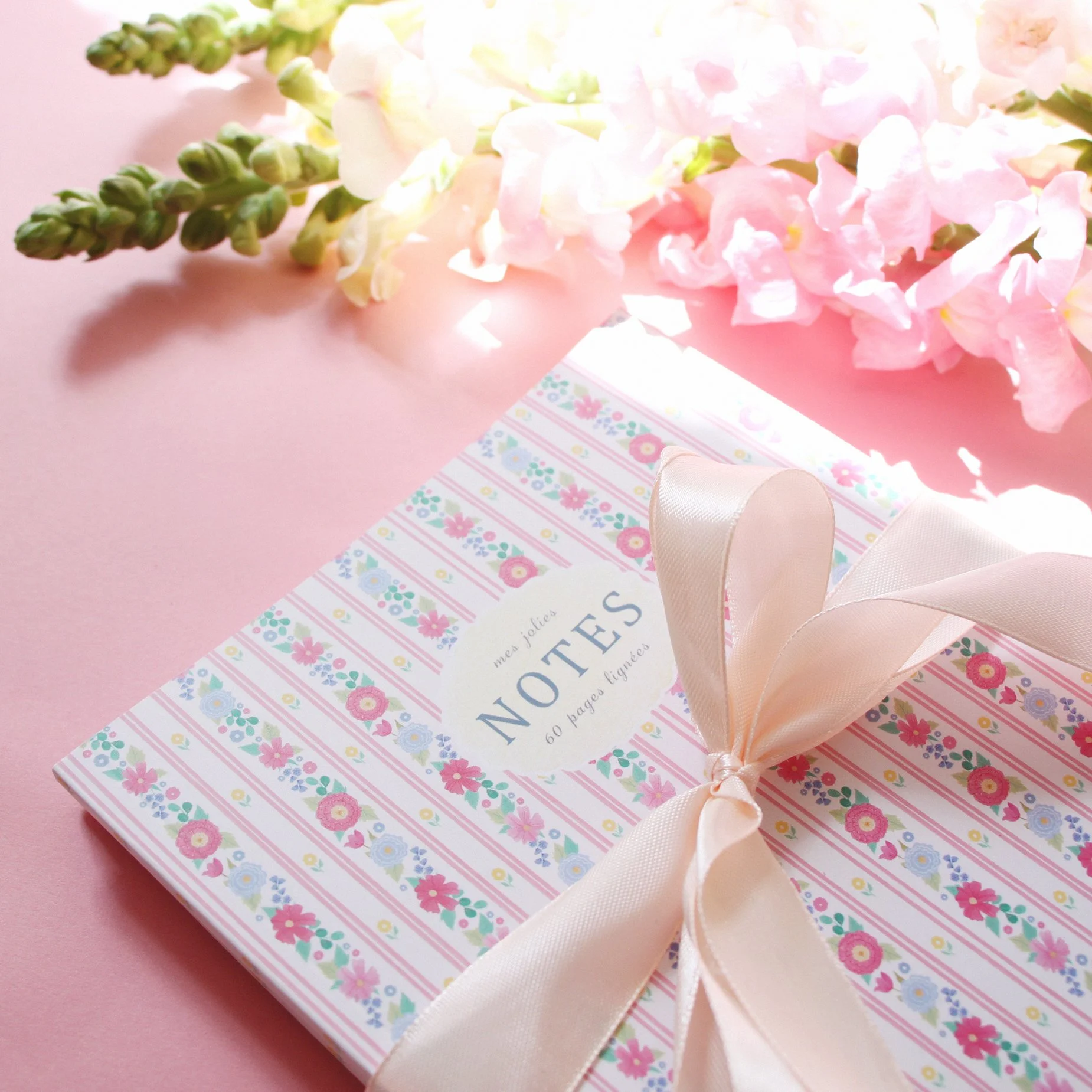 sonia cavallini carnet de notes 1.jpg