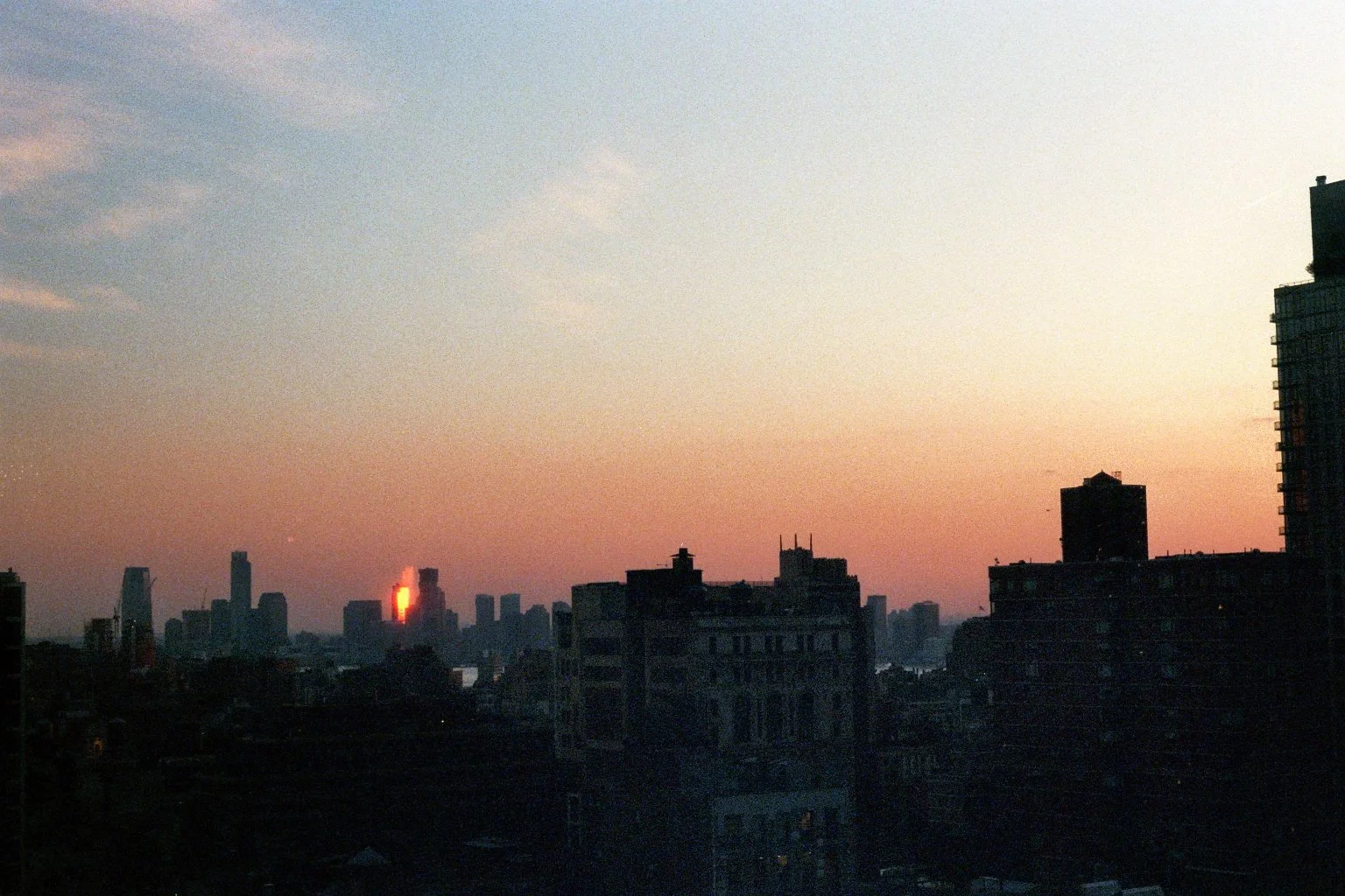 sonia cavallini illustration 