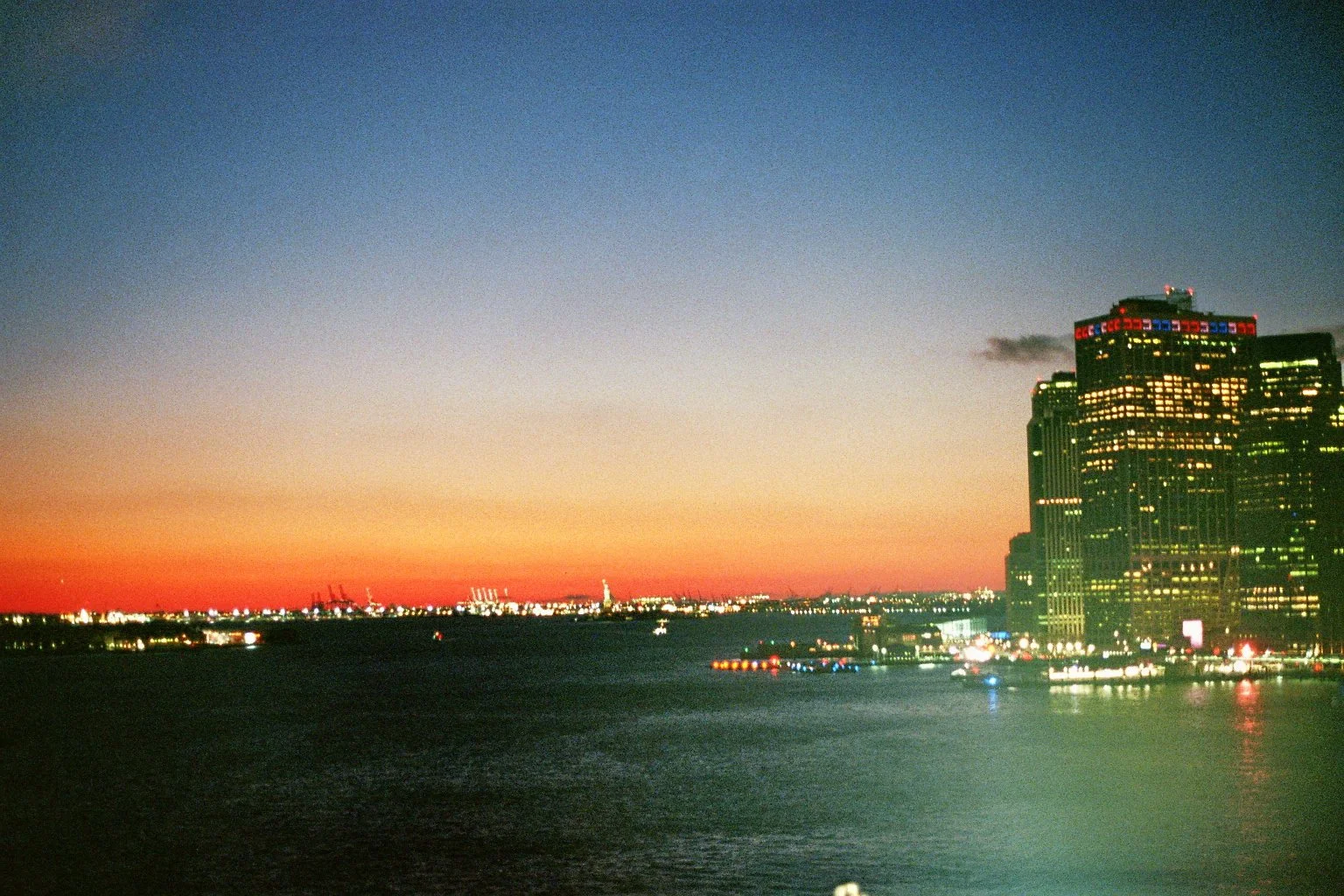 sonia cavallini illustration 