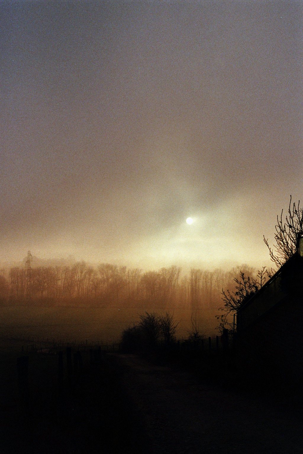 sonia cavallini illustration 