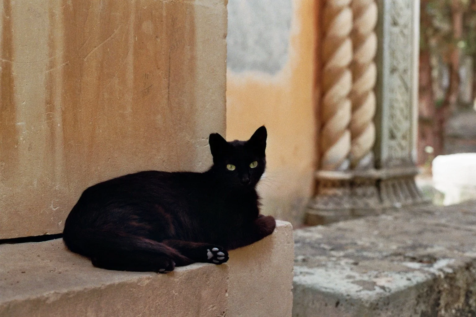 Malte - Tour de l'Italie -  2024