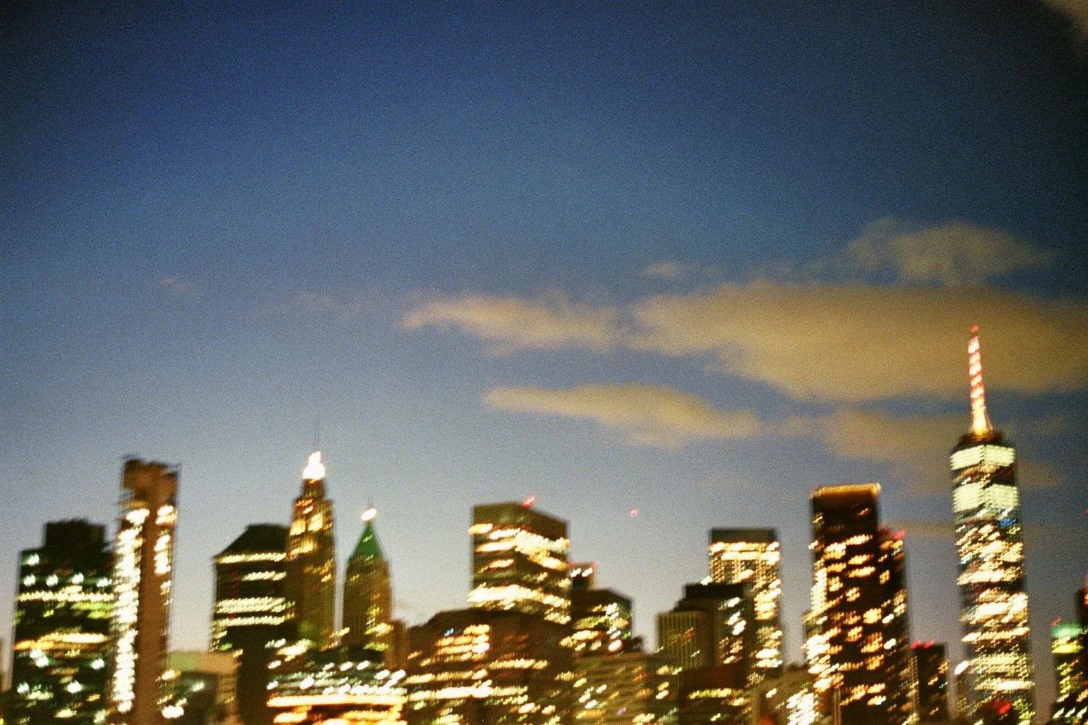 sonia cavallini illustration 