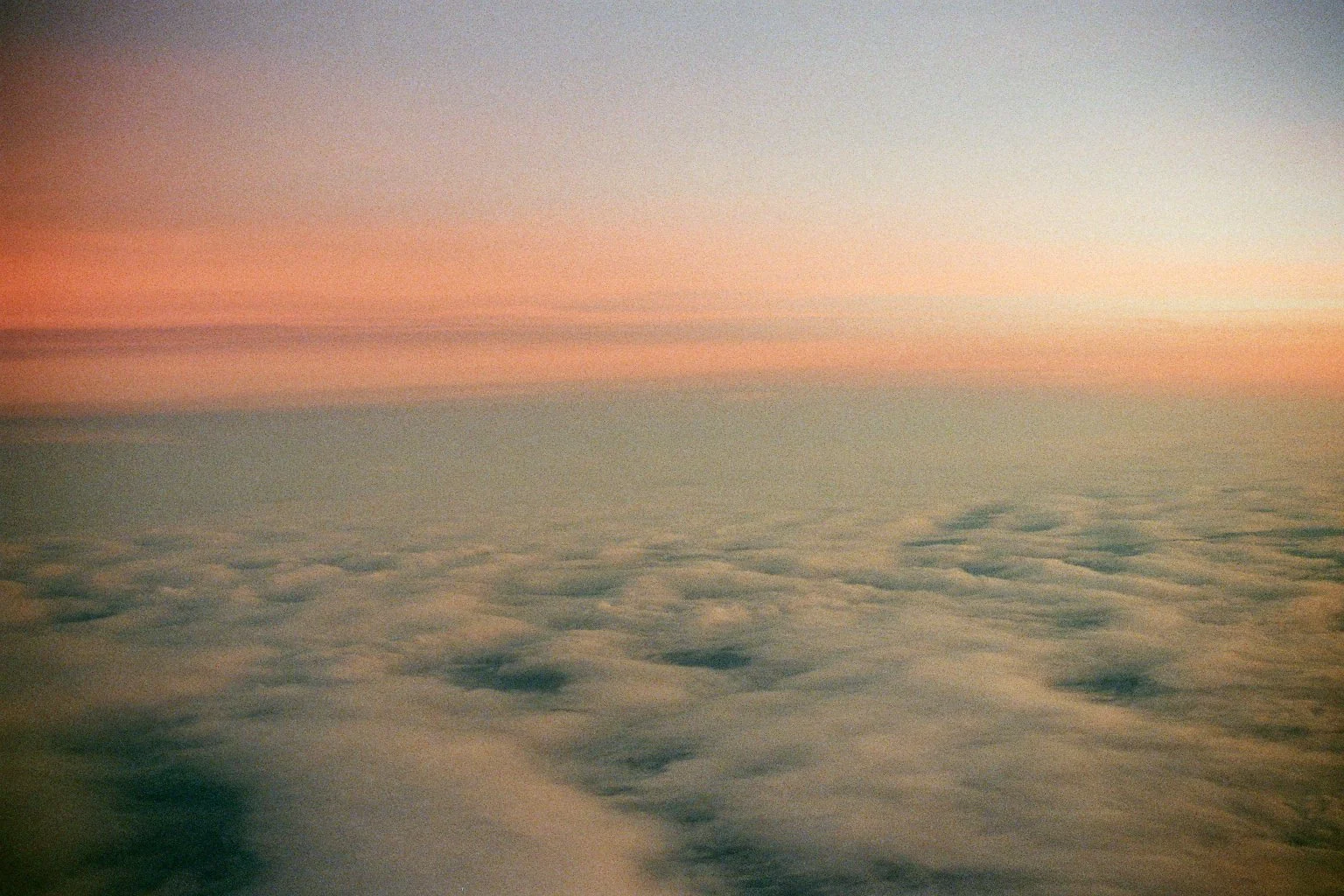 sonia cavallini illustration new york