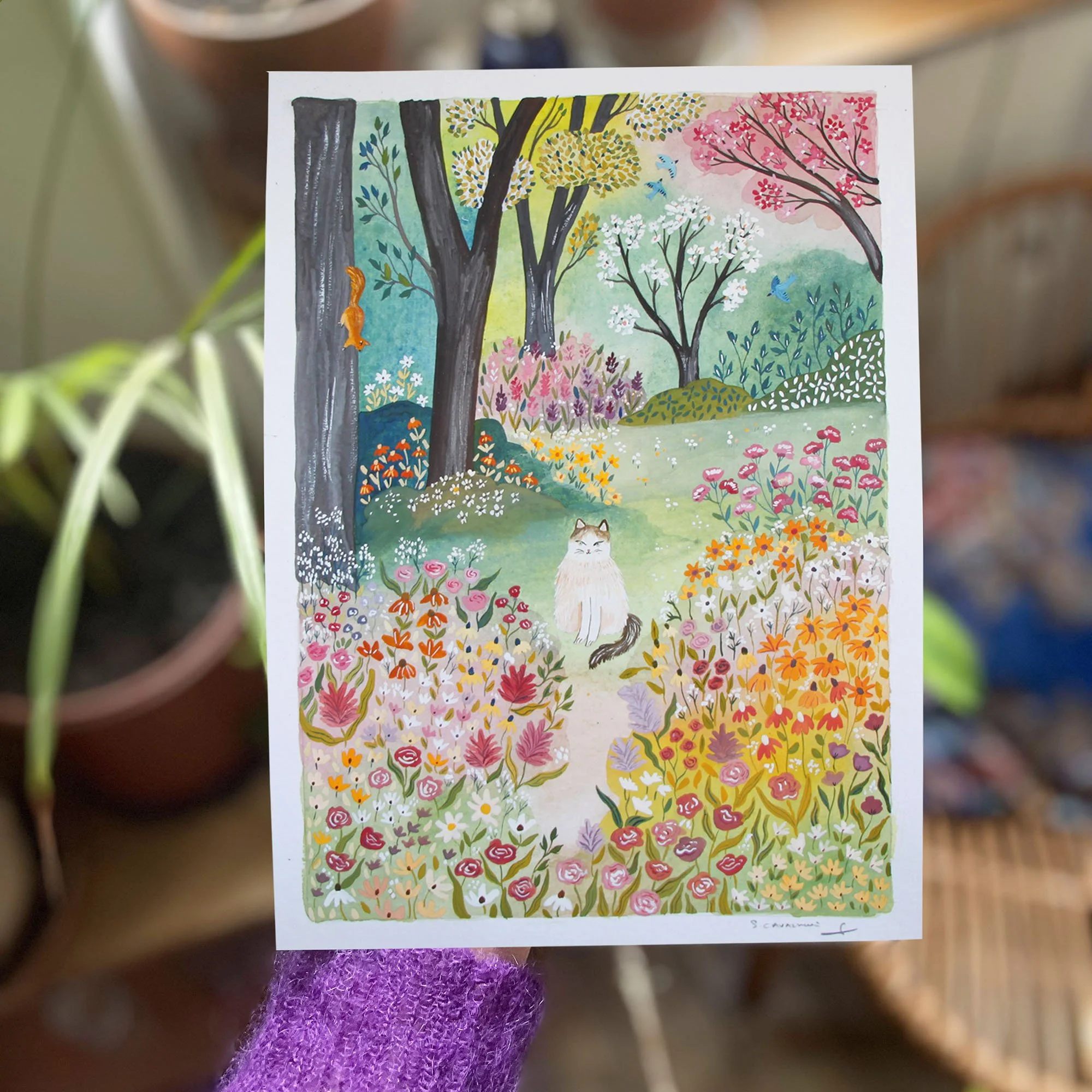 sonia cavallini illustration 73.jpg