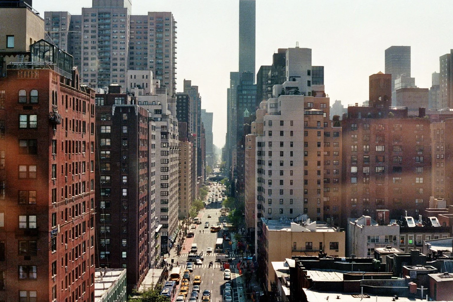 sonia cavallini illustration 