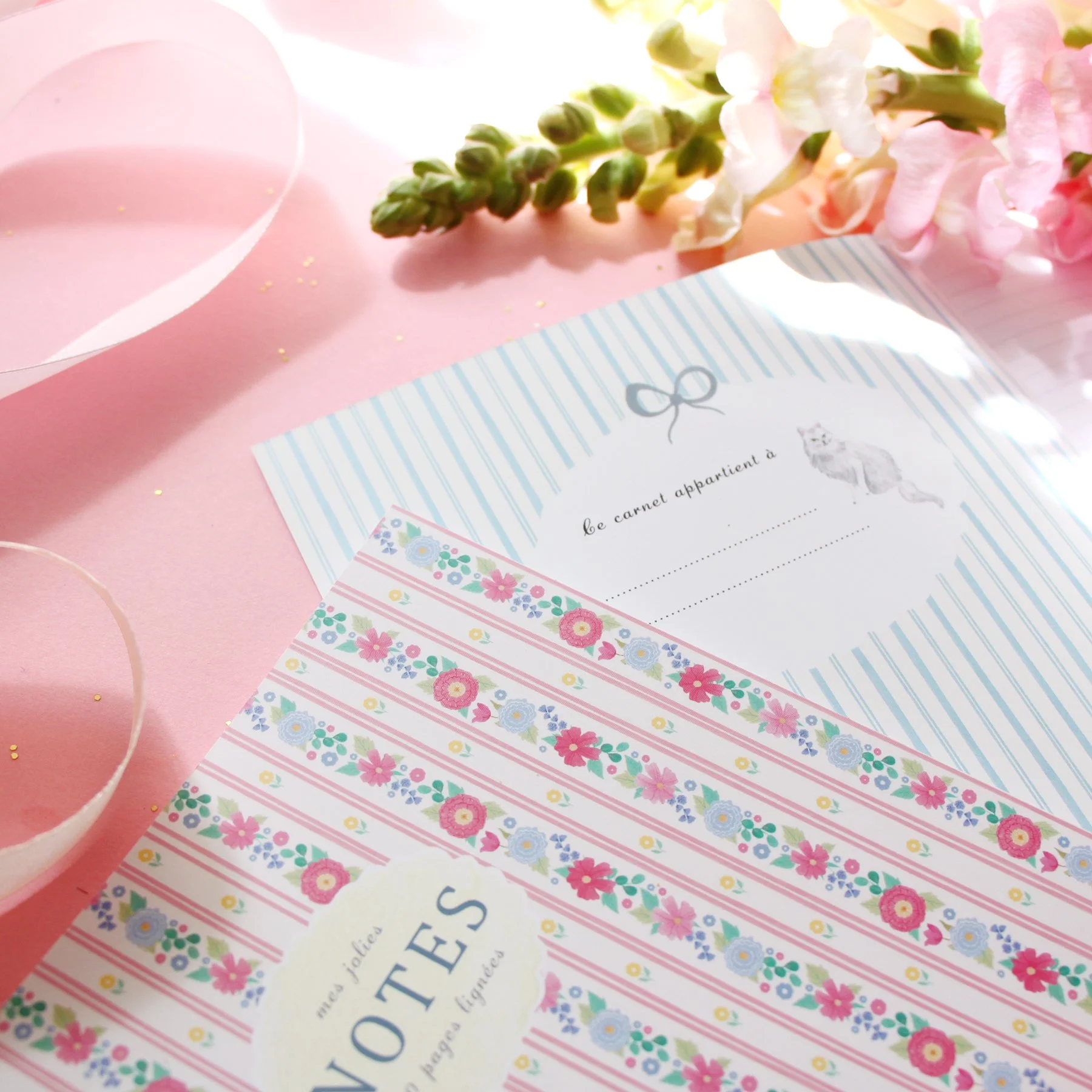 sonia cavallini carnet de notes 2.jpg