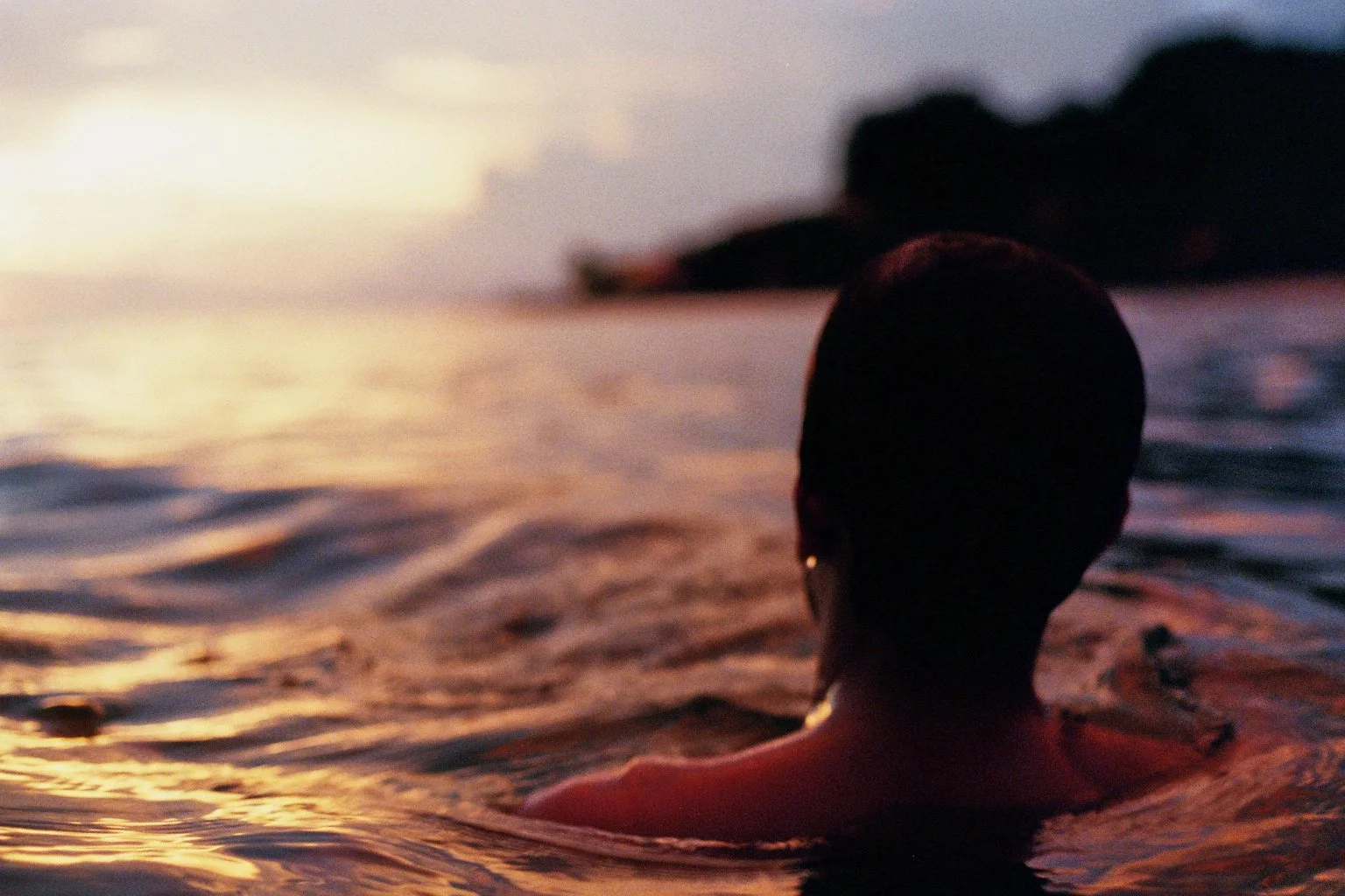 sonia cavallini illustration 