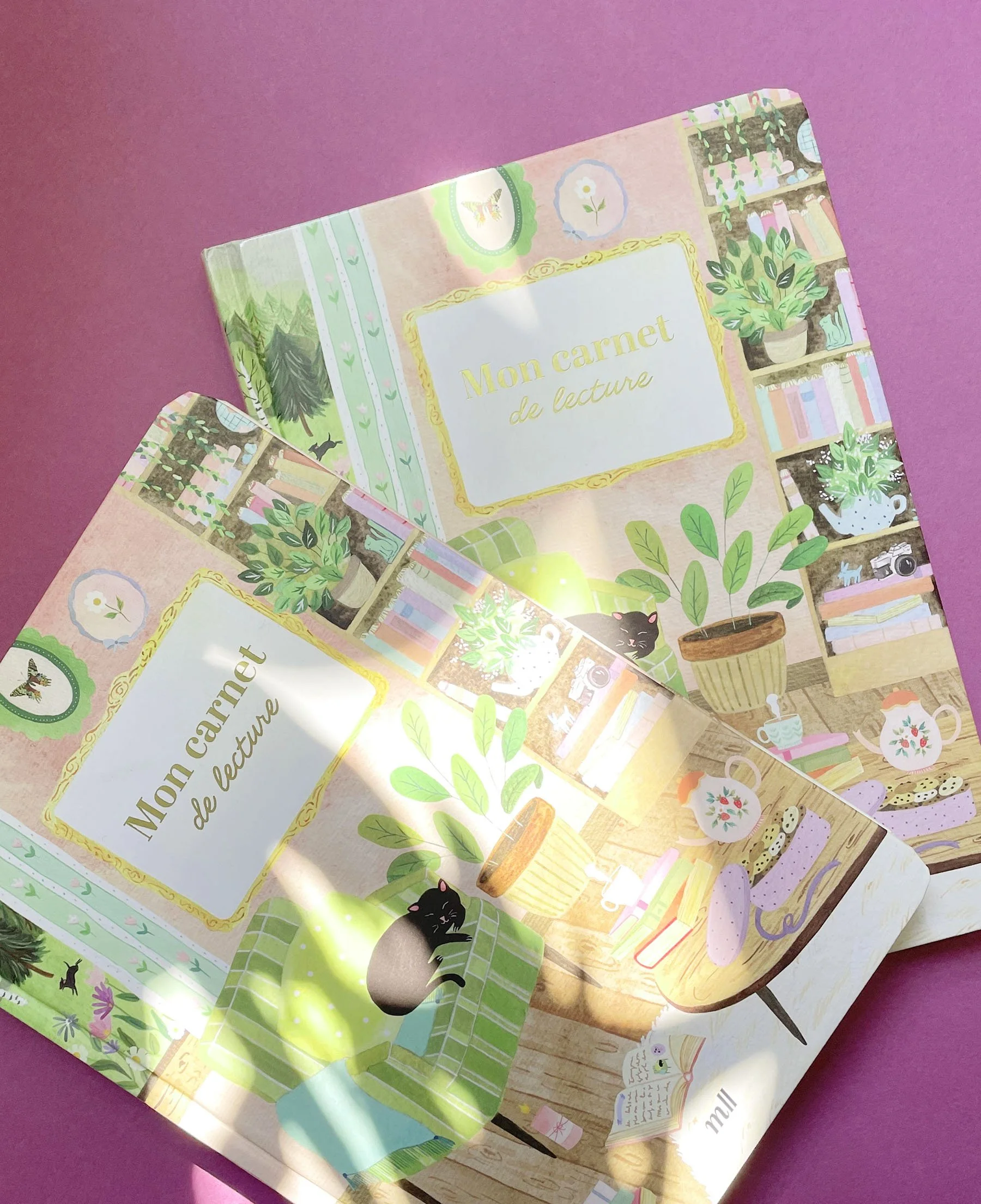 sonia cavallini  carnet de lecture 