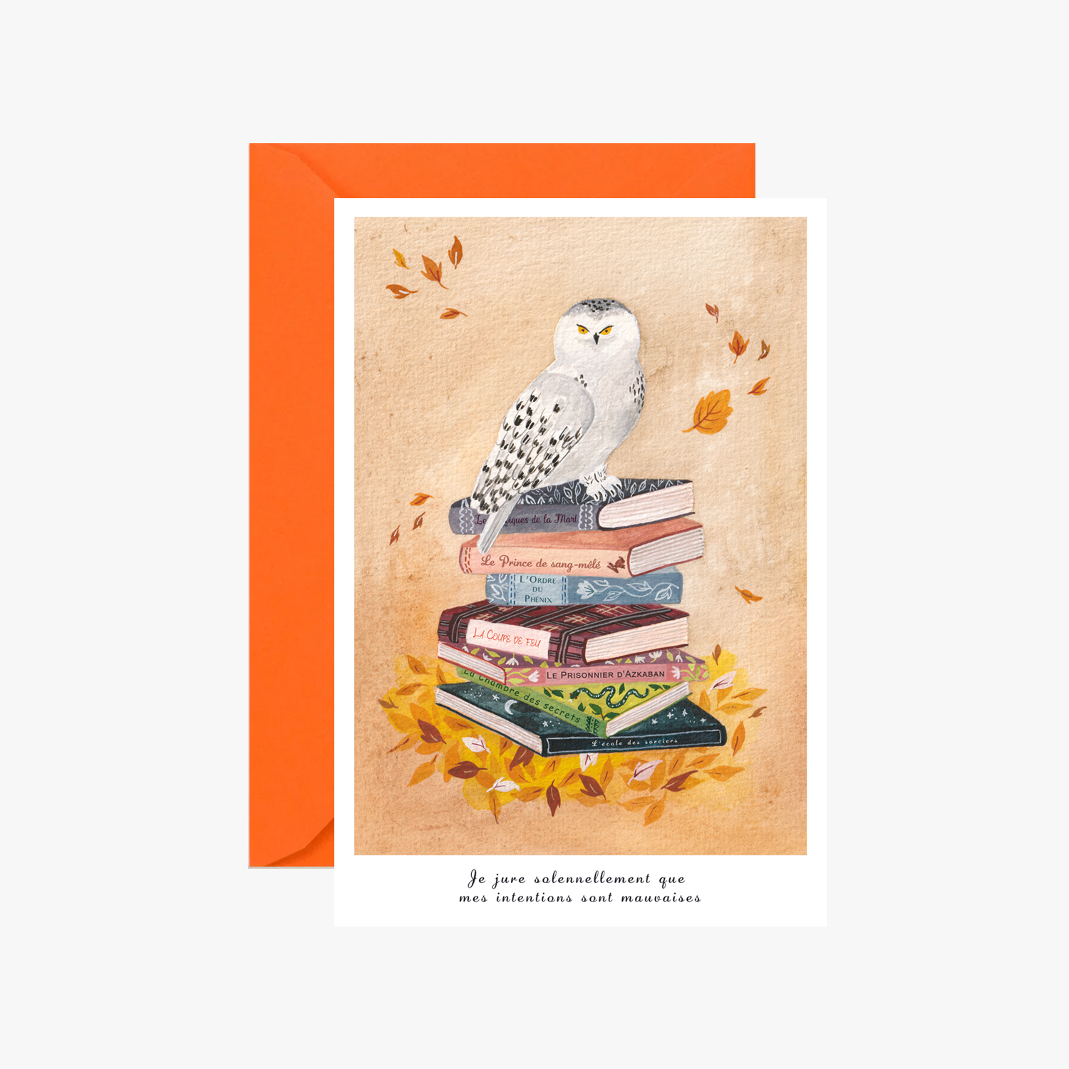 sonia cavallini carte harry.png