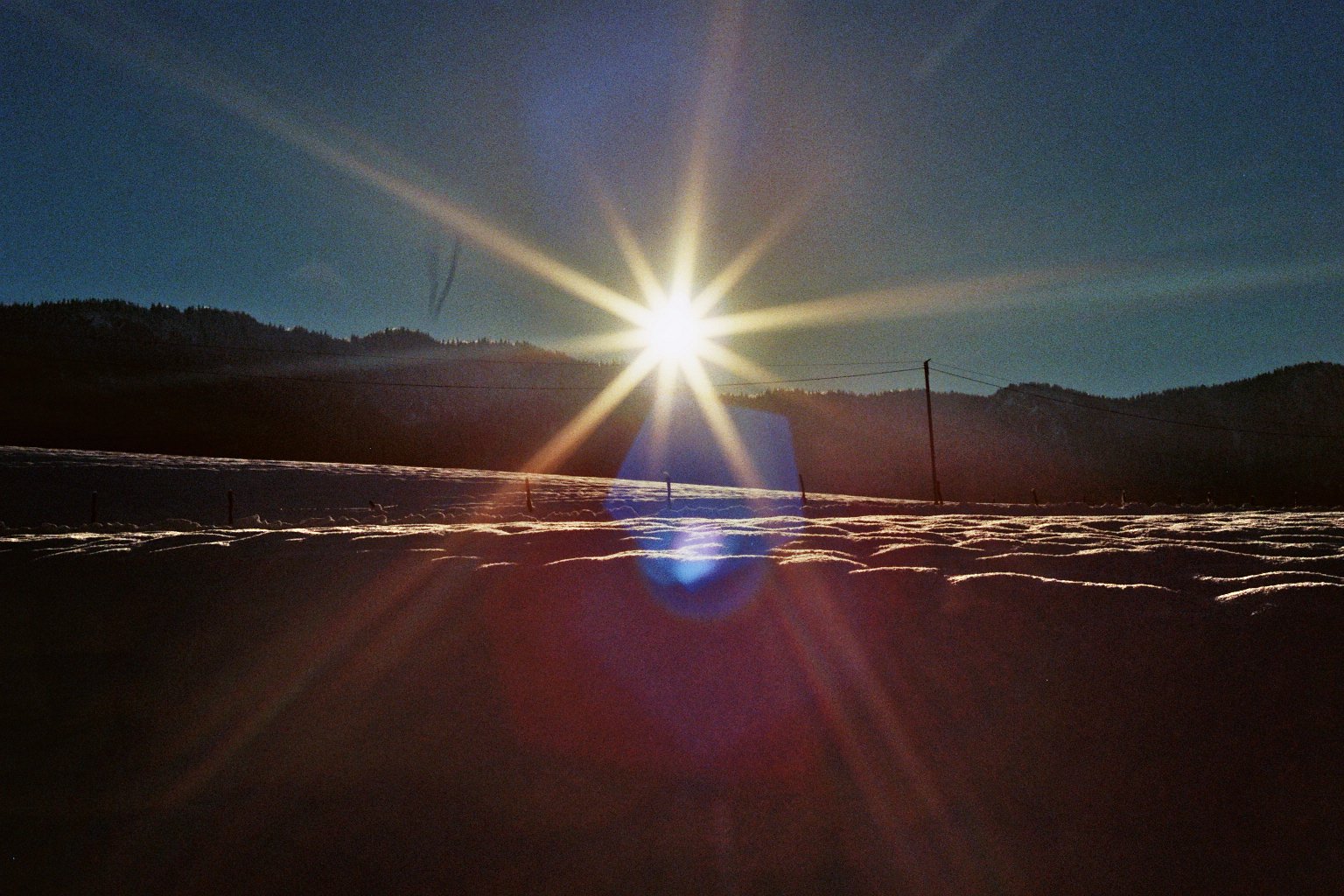 sonia cavallini illustration 