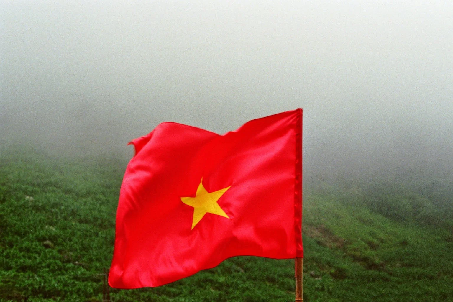 sonia cavallini illustration