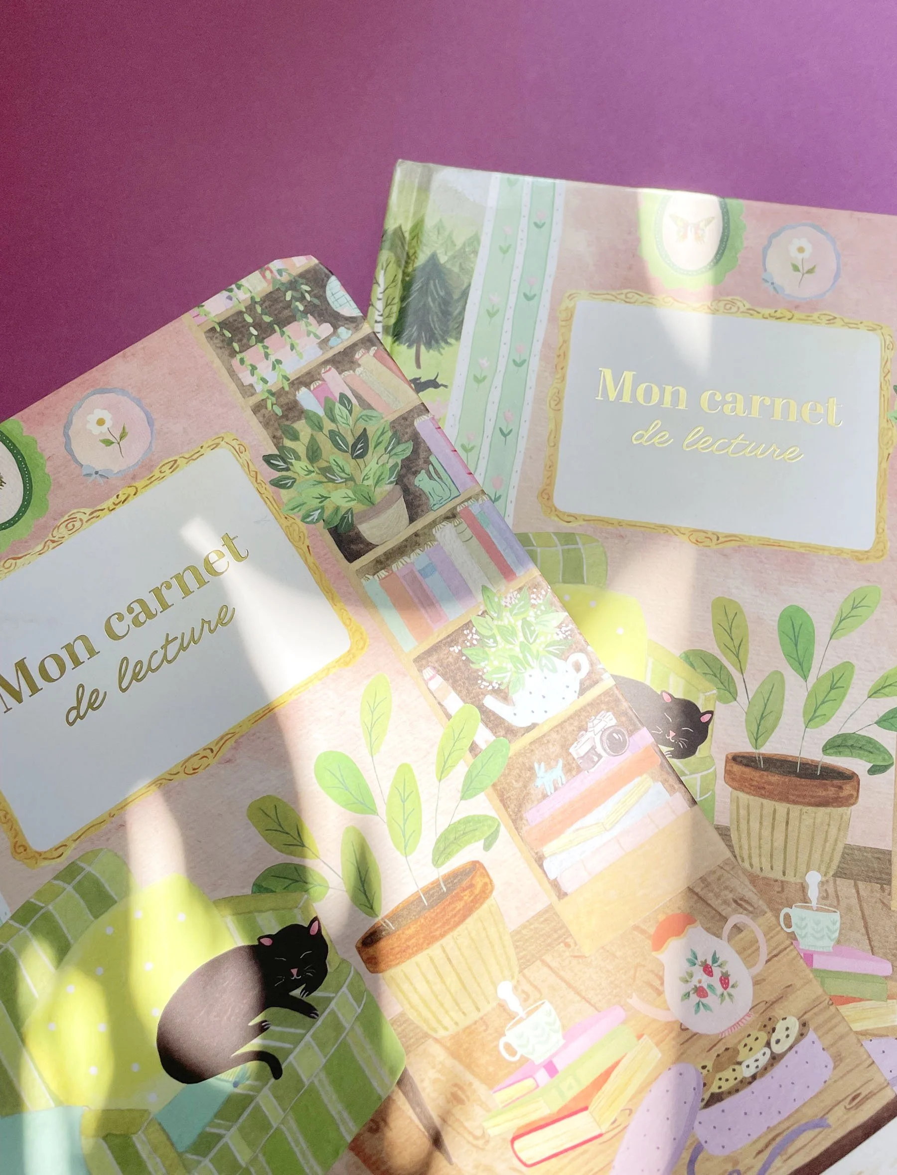 sonia cavallini  carnet de lecture