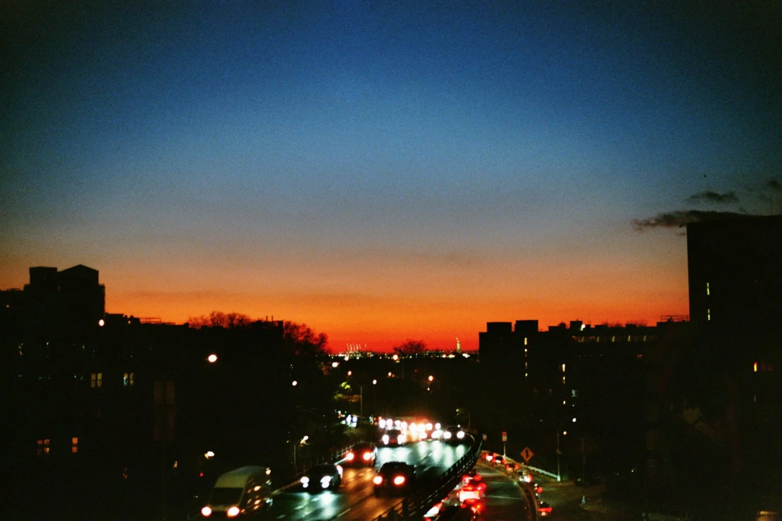 sonia cavallini illustration