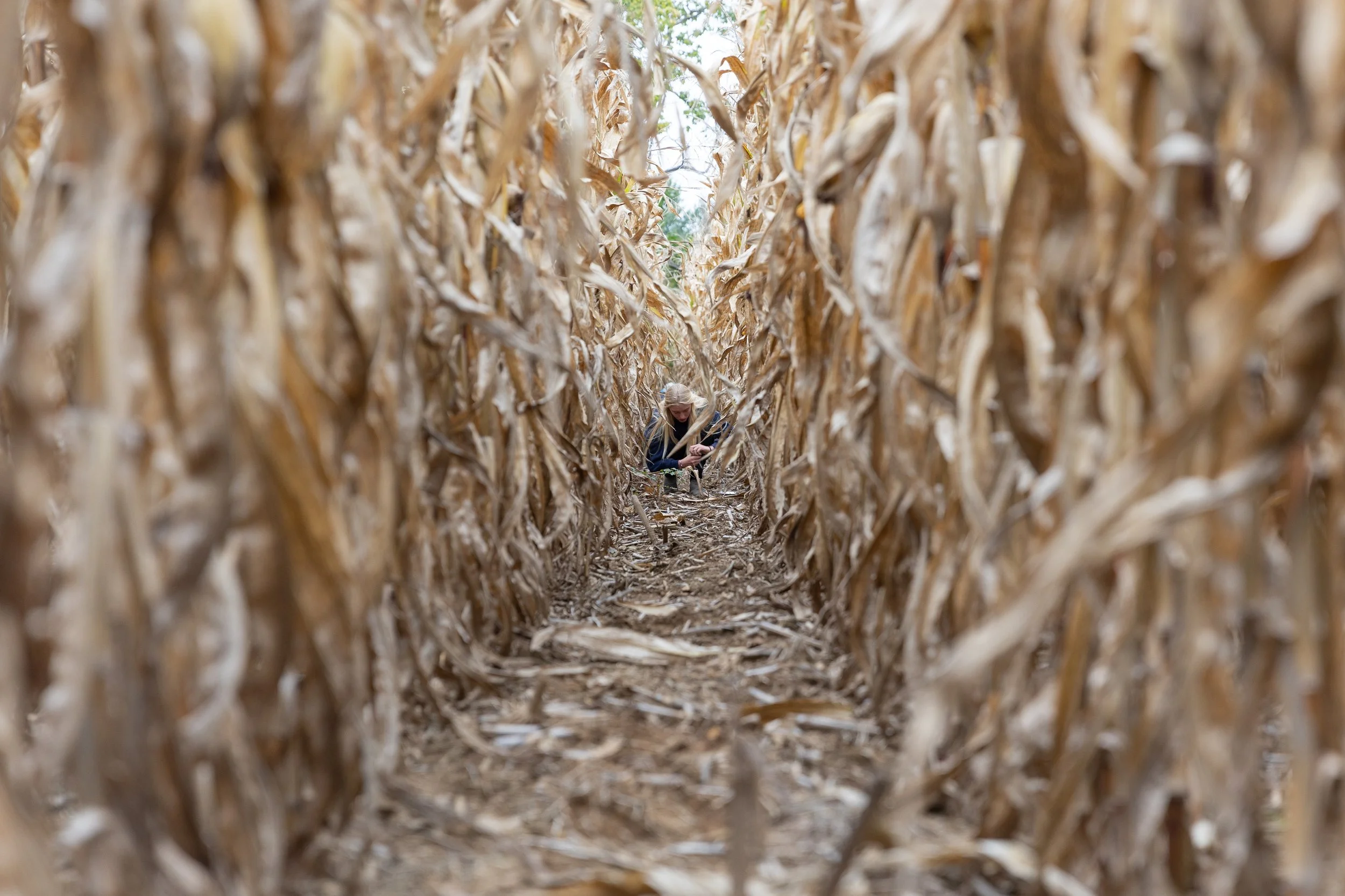 KU_Reg. Agriculture_2022-5 (1).jpg