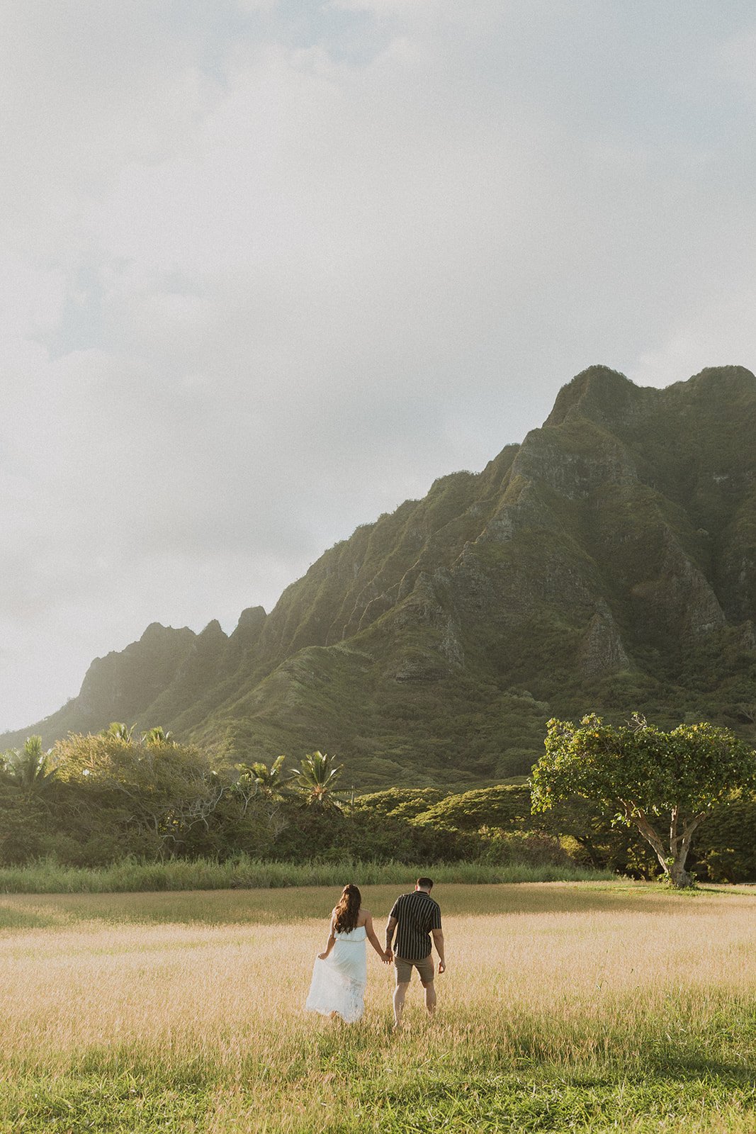 n-s-hawaii-engagement-session-8998.jpg