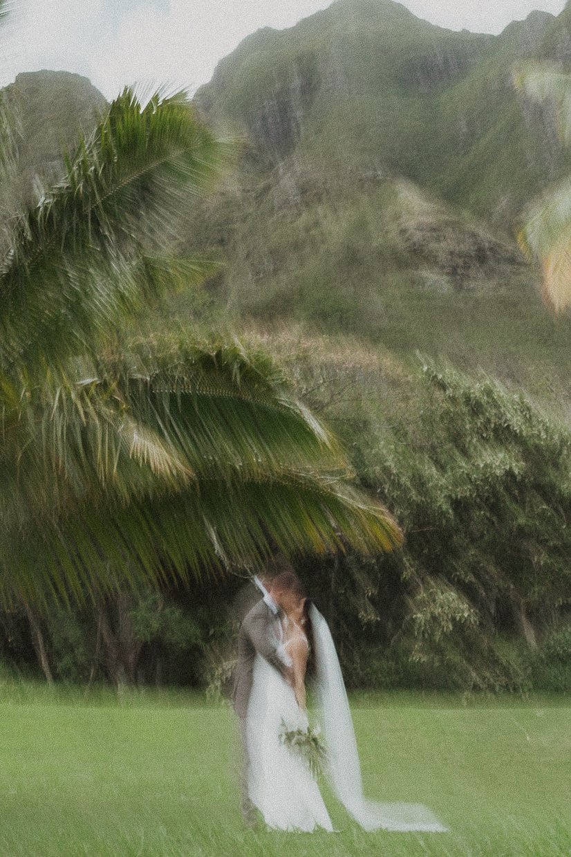 l-b-kualoa-ranch-wedding-7761.jpg