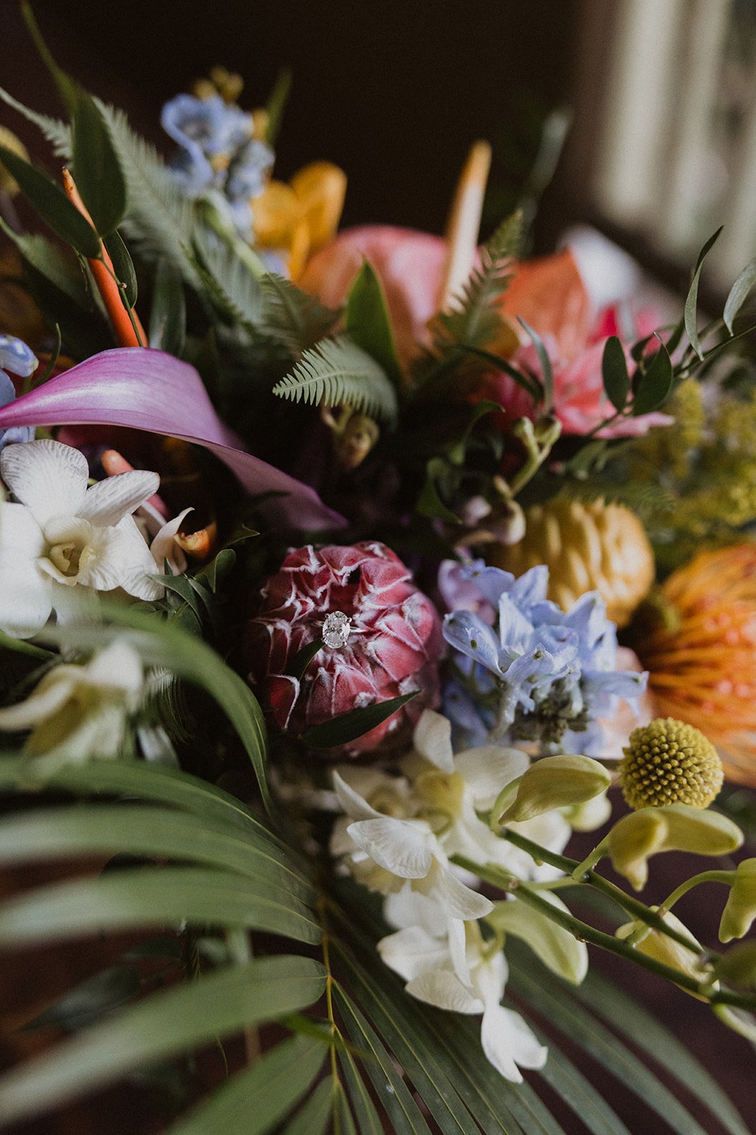 t-s-kualoa-ranch-hawaii-wedding-3744.jpg