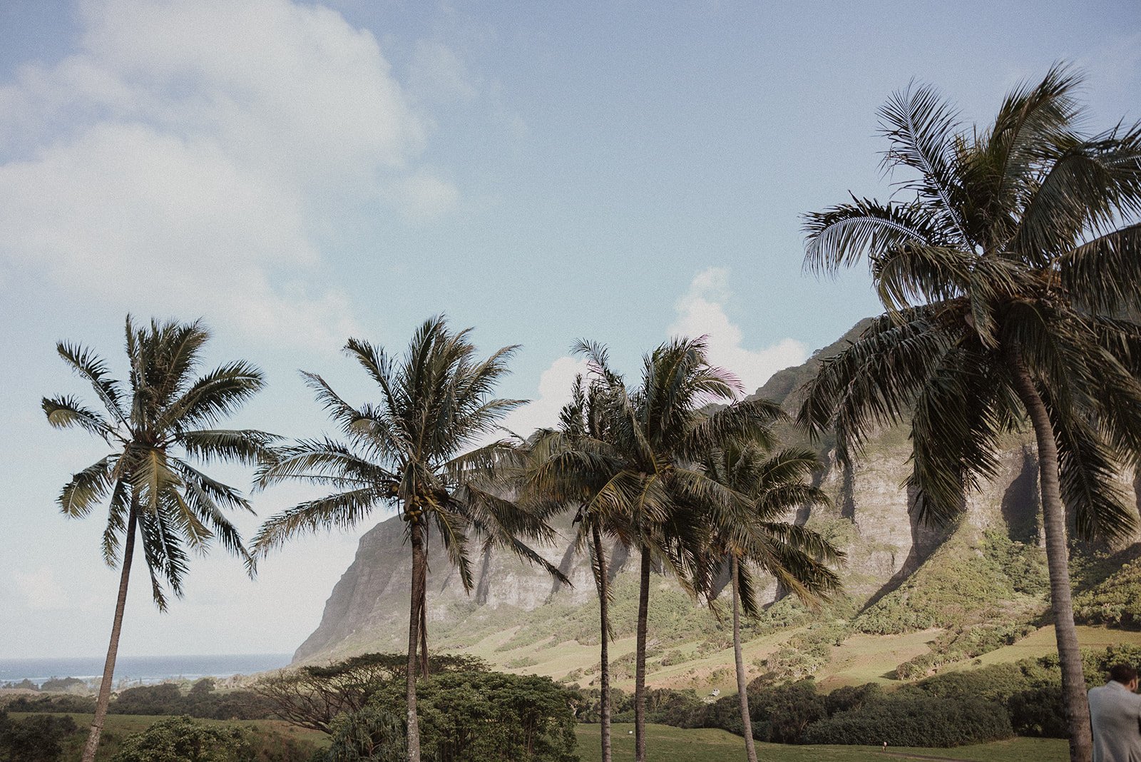 t-s-kualoa-ranch-hawaii-wedding-4880.jpg