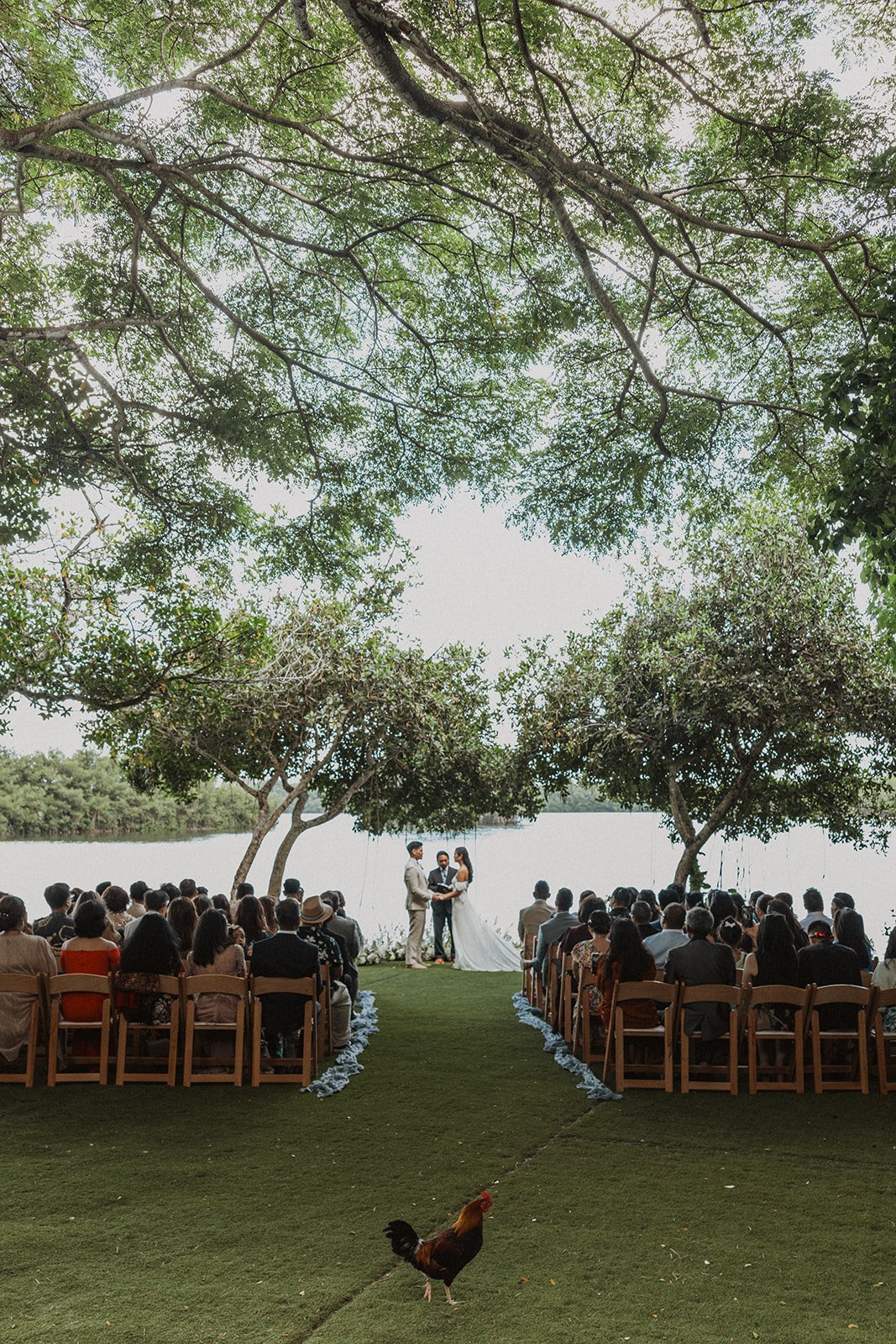 n-g-molii-gardens-hawaii-wedding-5187.jpg