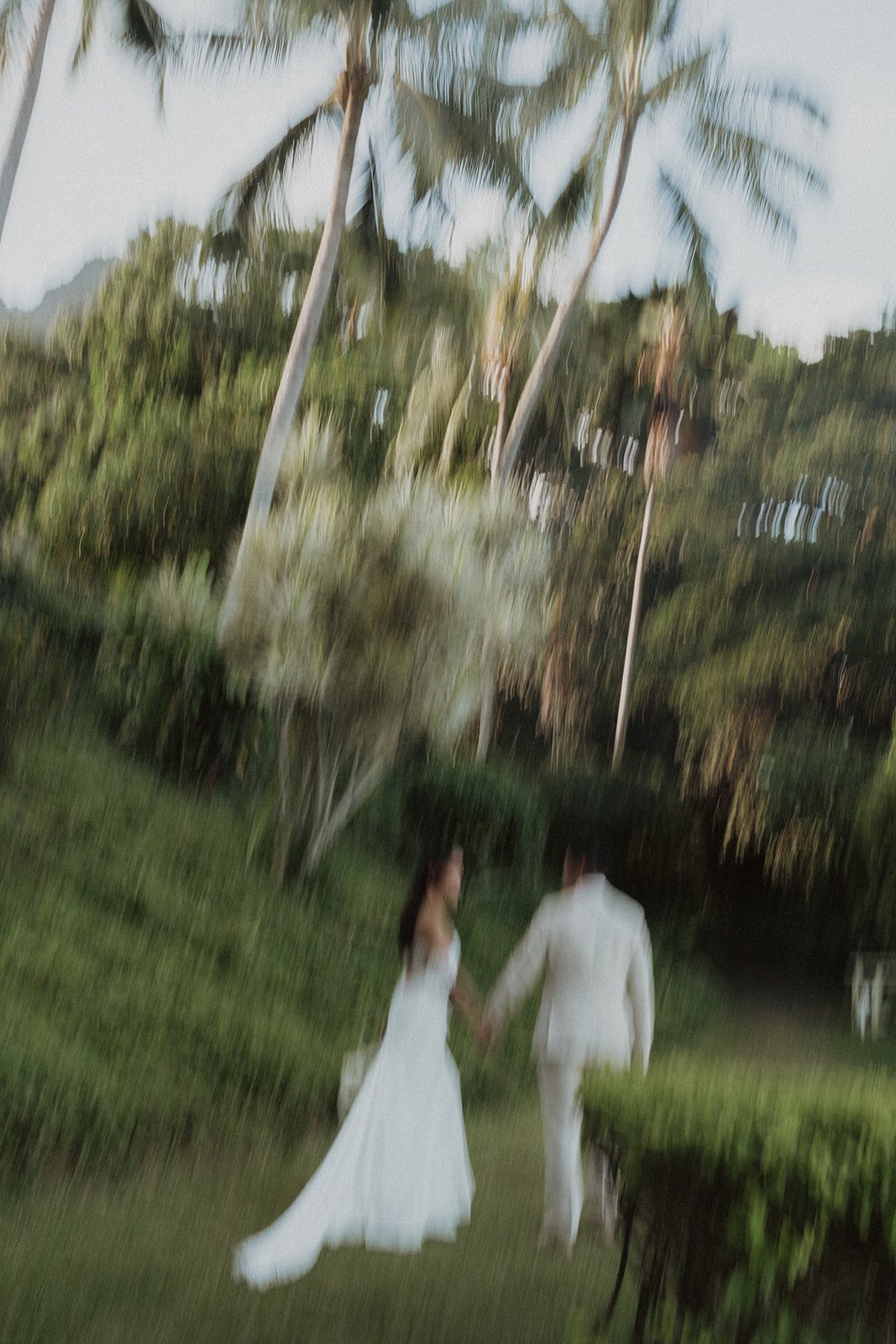 n-g-molii-gardens-hawaii-wedding-9113.jpg