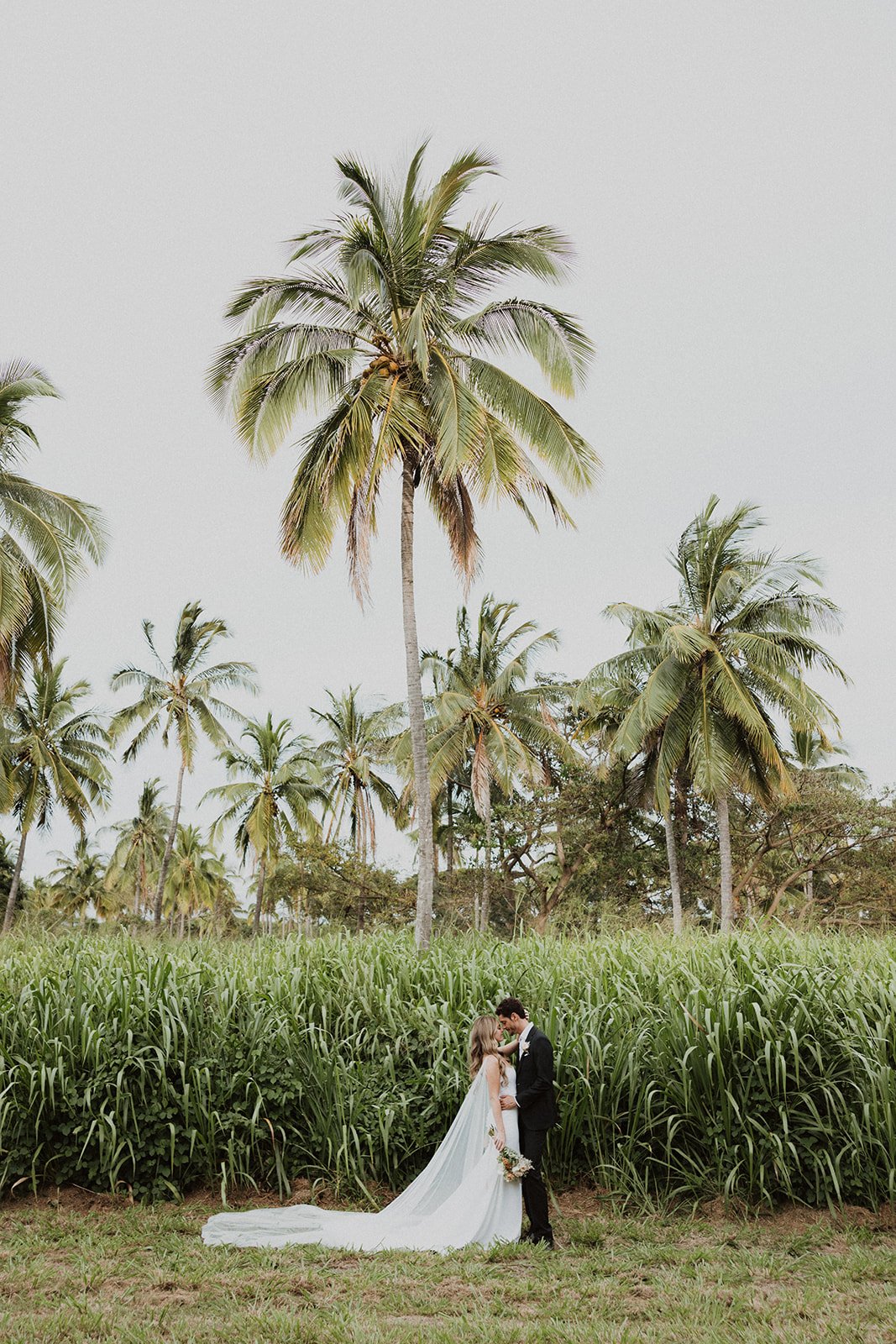 m-m-dillingham-ranch-hawaii-wedding-4383.jpg