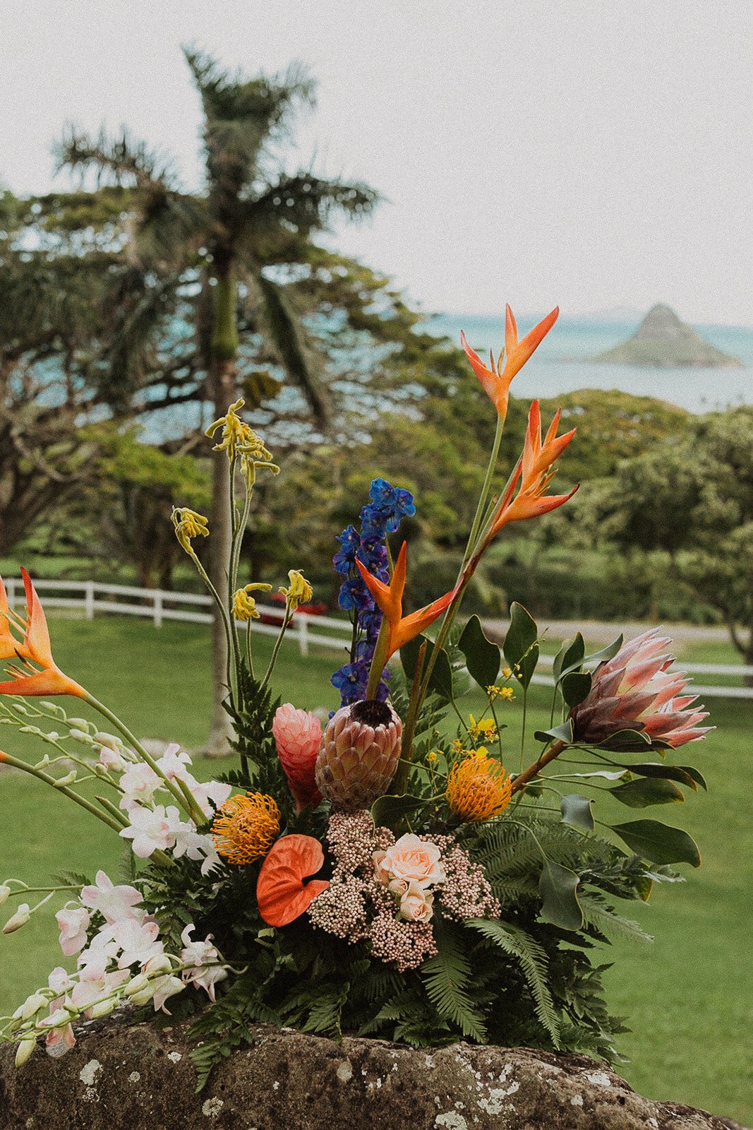 J-H-Paliku-Gardens-Hawaii-Wedding-8868.jpg