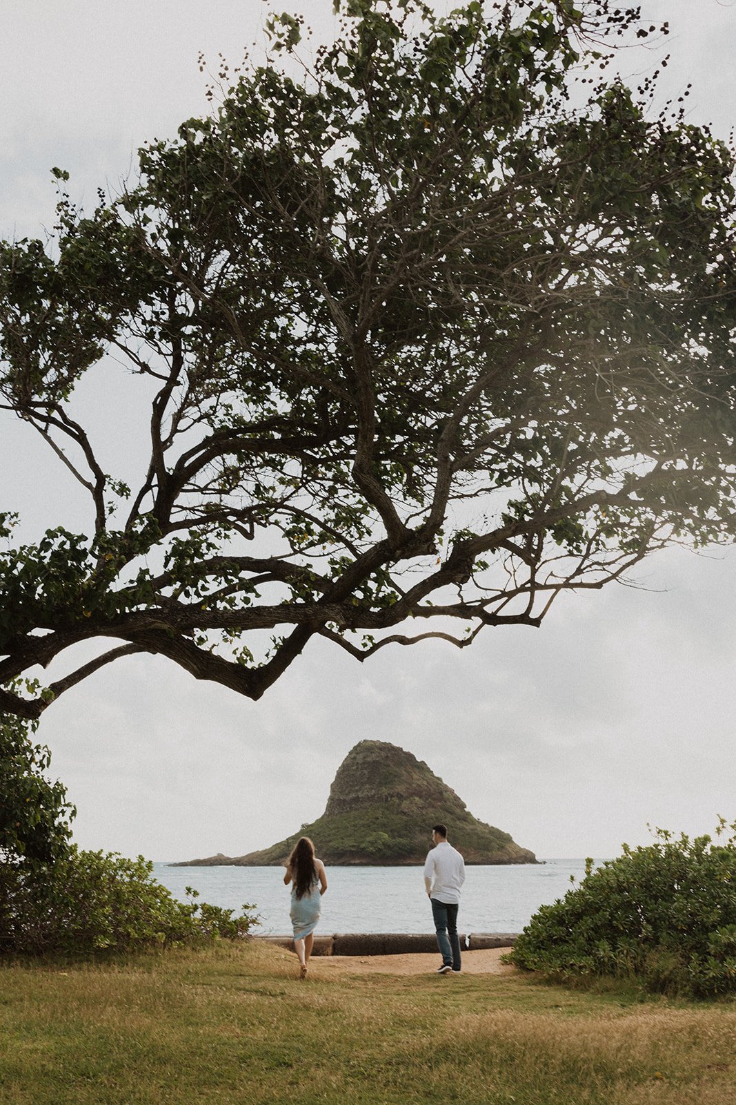 john-bri-kualoa-couples-session-3804.jpg