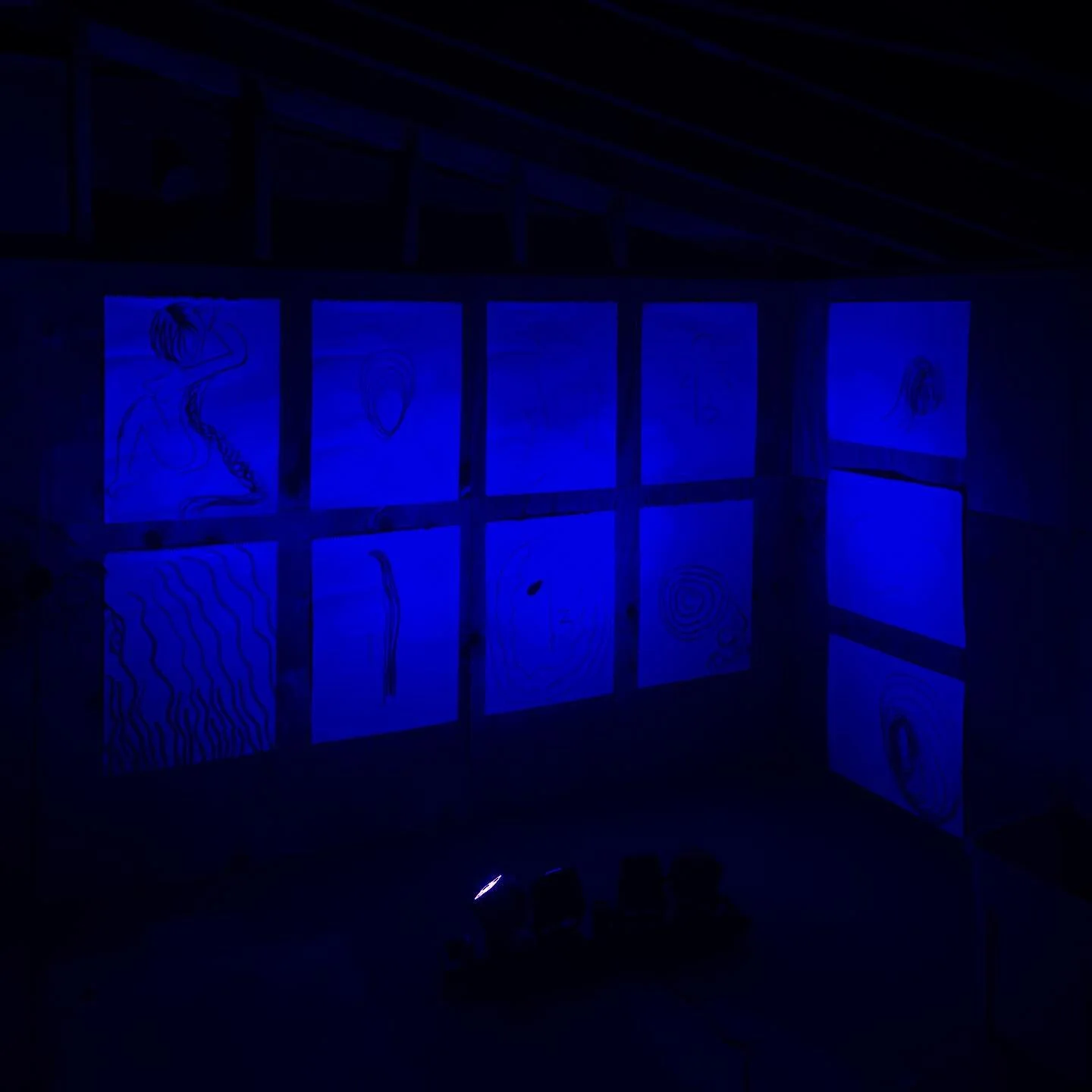 art installation at our barn party titled 'origins' featuring twelve cave-like illustrations using charcoal depicting an inductive hypotheses of the origins of a Punjabi Girl by @saysnaaree 07/16/2023