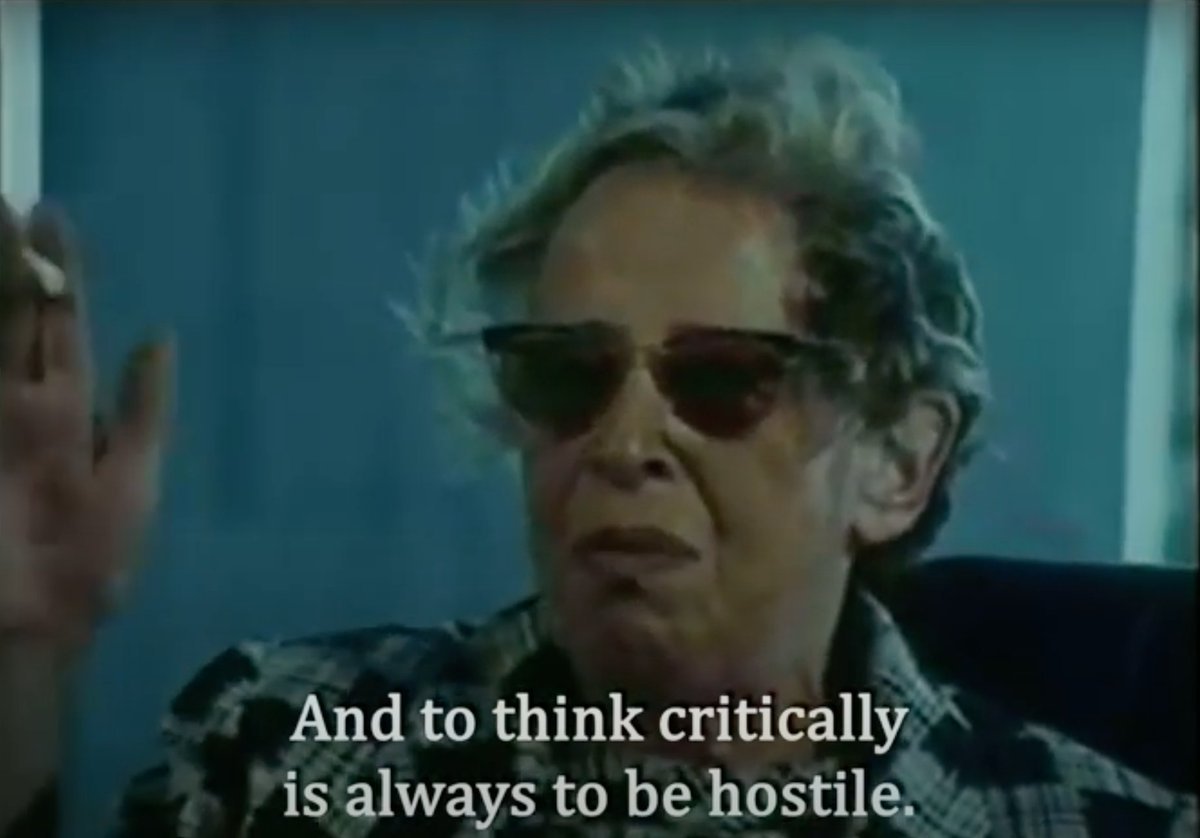 hannah arendthostile.jpeg
