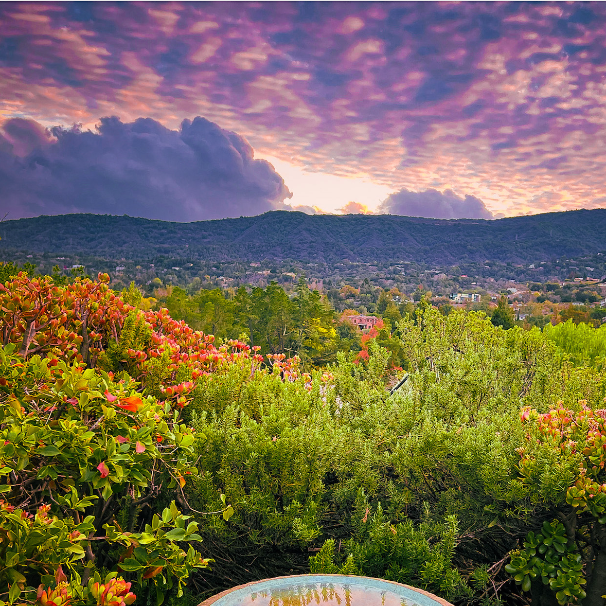 Cultivating Joy — Retreat Day