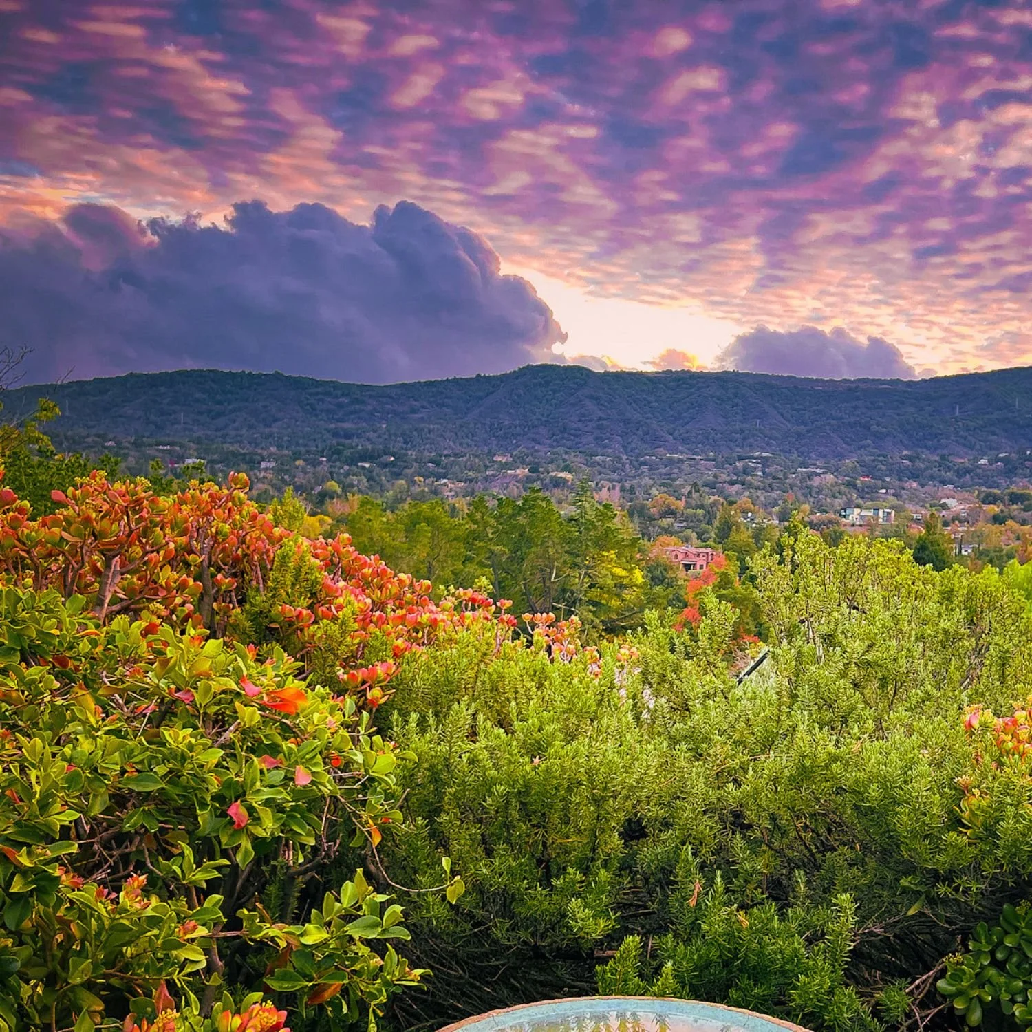 Cultivating Joy — Retreat Day
