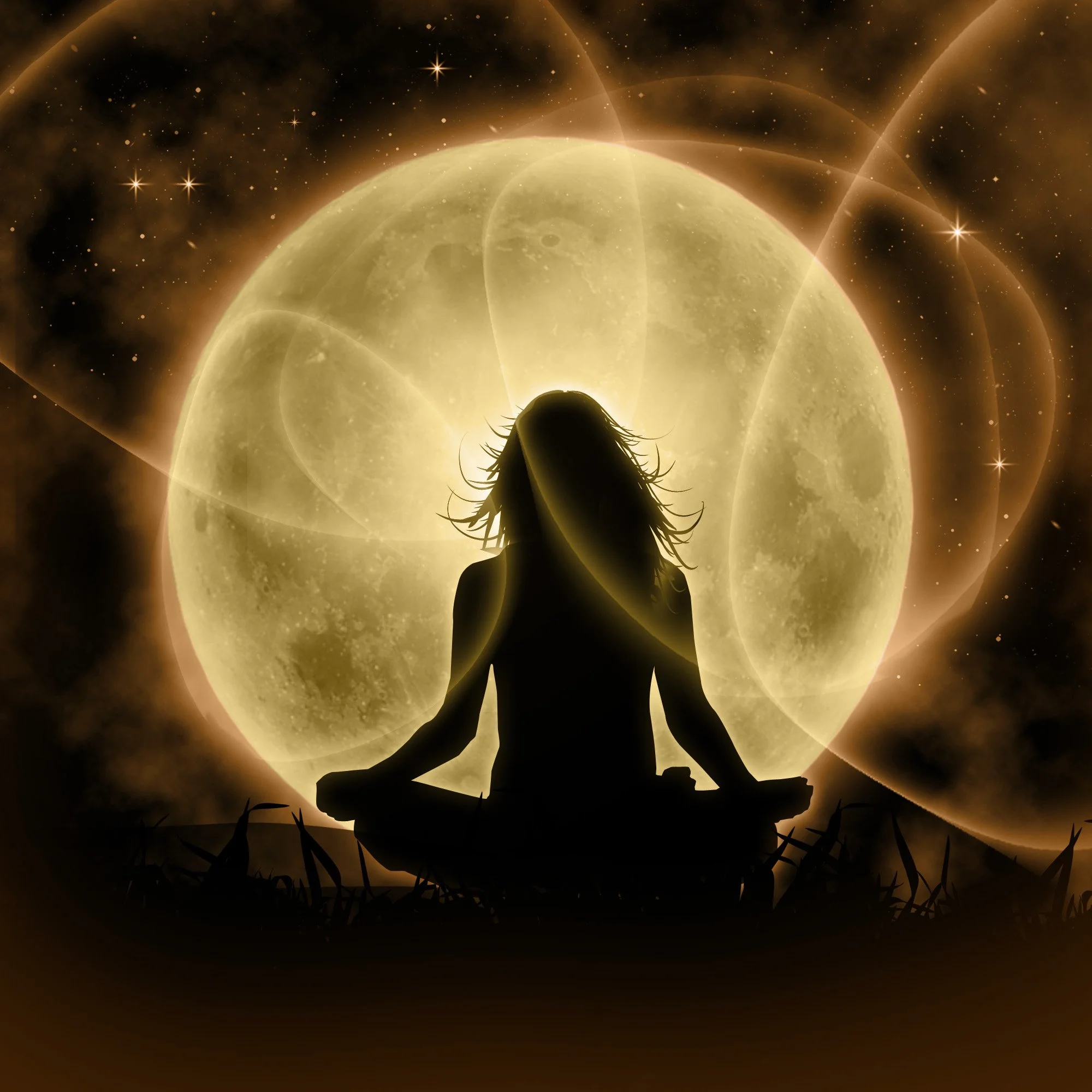 Soul Purpose Profile