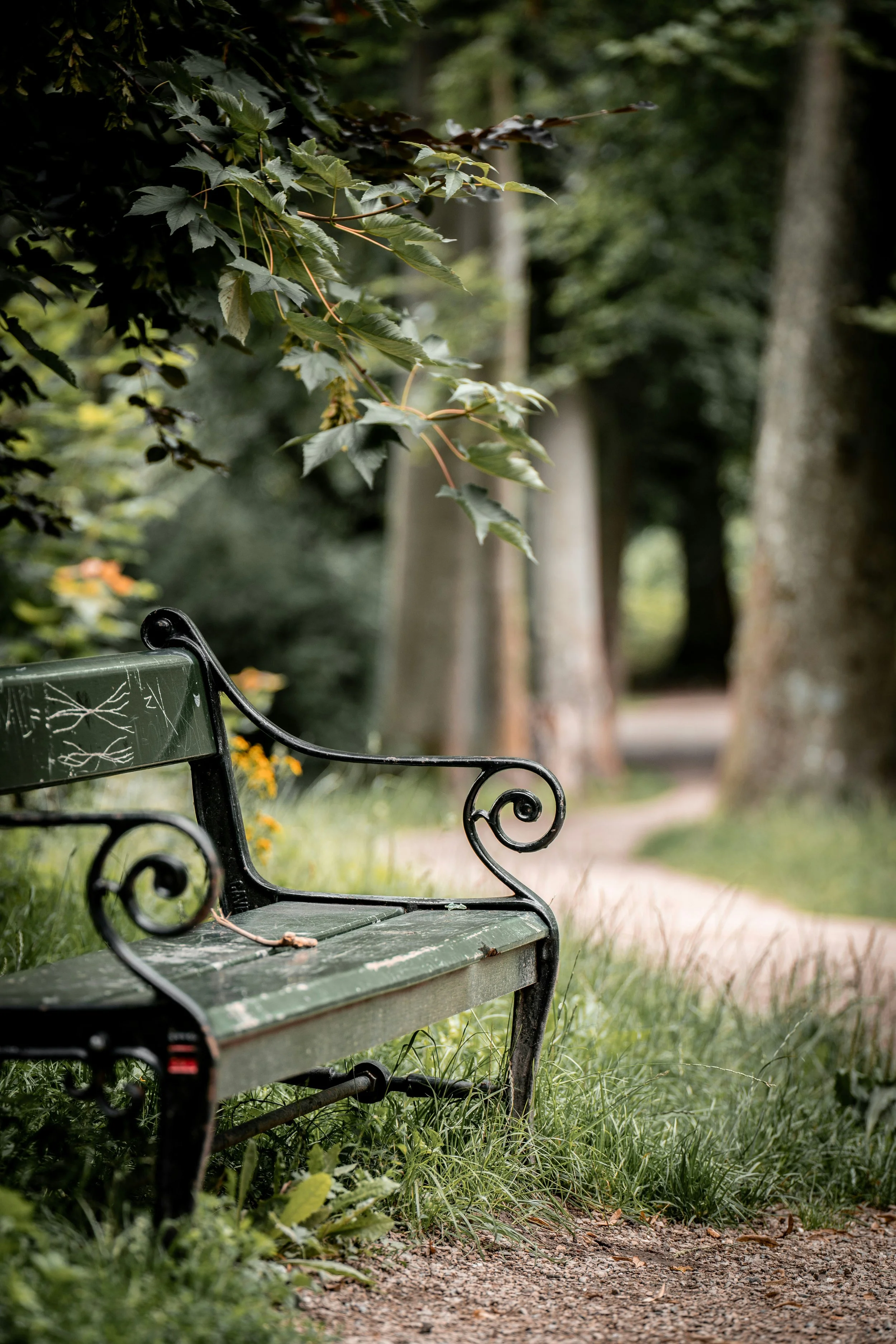 Bench woods michael-fousert-eydQ76ieKro-unsplash.jpg